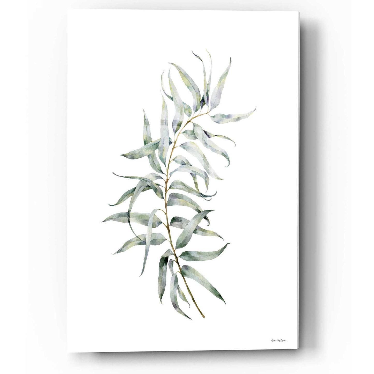 Epic Art 'Eucalyptus I' by Seven Trees Design, Acrylic Glass Wall Art