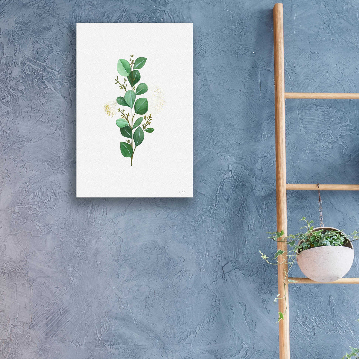 Epic Art 'Eucalyptus II' by Seven Trees Design, Acrylic Glass Wall Art,16x24