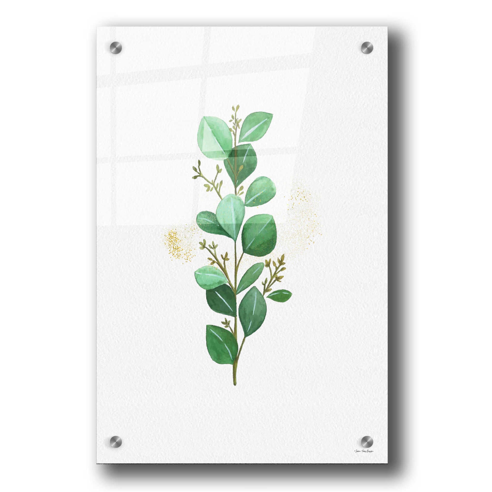 Epic Art 'Eucalyptus II' by Seven Trees Design, Acrylic Glass Wall Art,24x36