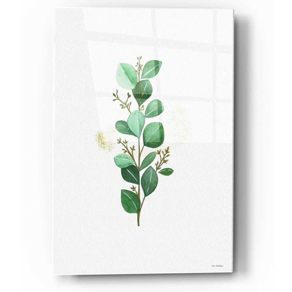 Epic Art 'Eucalyptus II' by Seven Trees Design, Acrylic Glass Wall Art