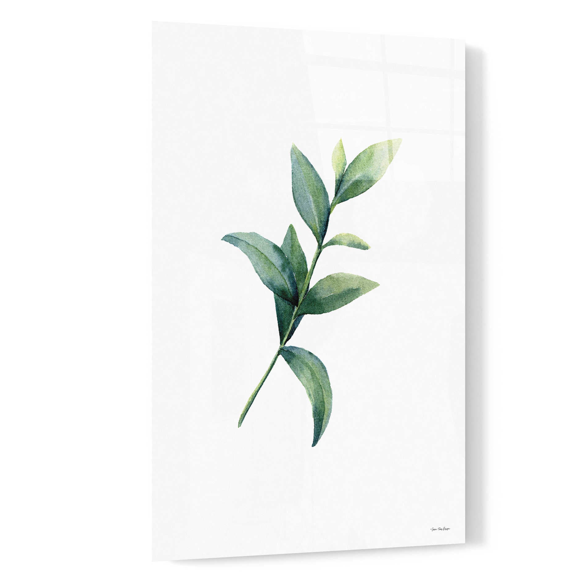 Epic Art 'Eucalyptus III' by Seven Trees Design, Acrylic Glass Wall Art,16x24