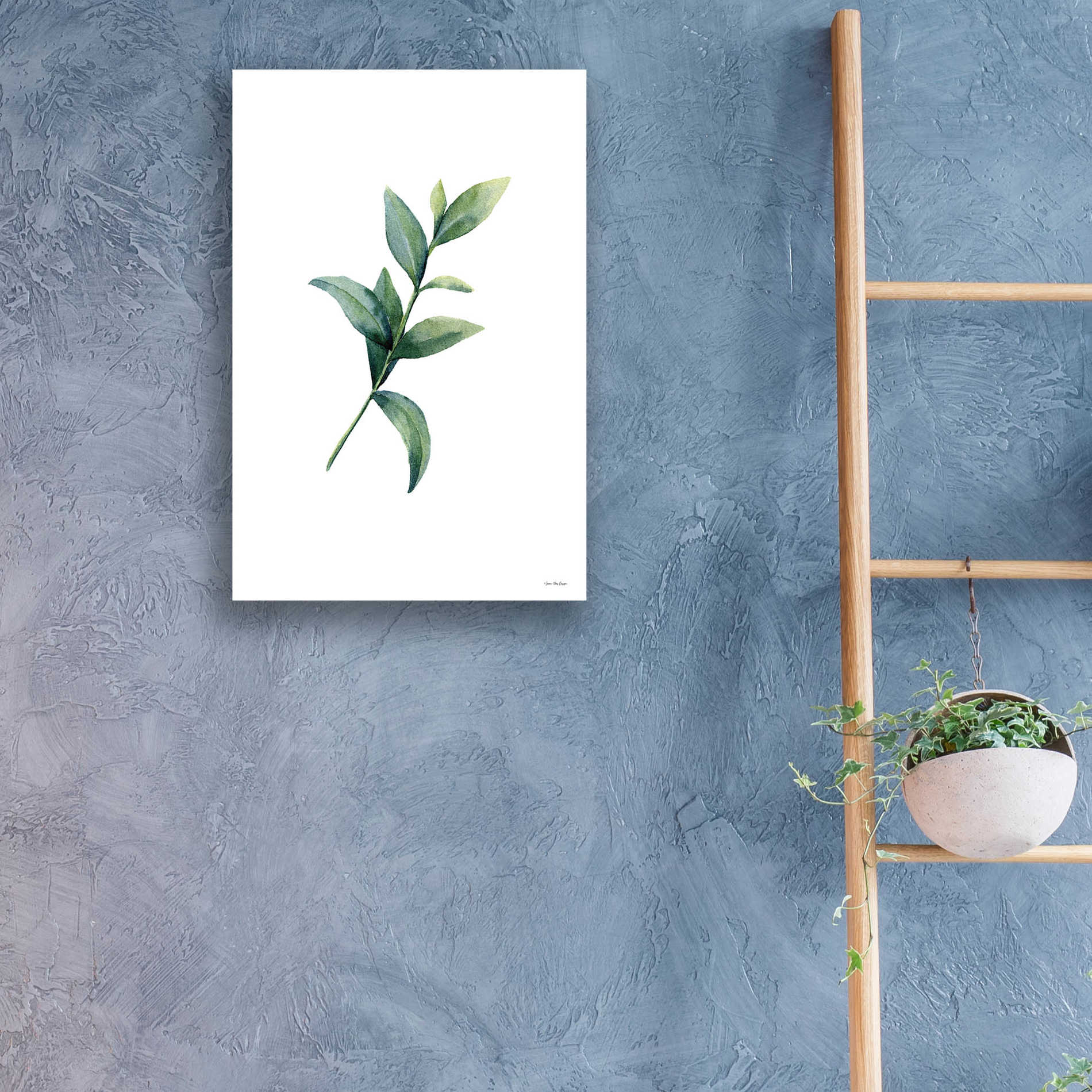 Epic Art 'Eucalyptus III' by Seven Trees Design, Acrylic Glass Wall Art,16x24