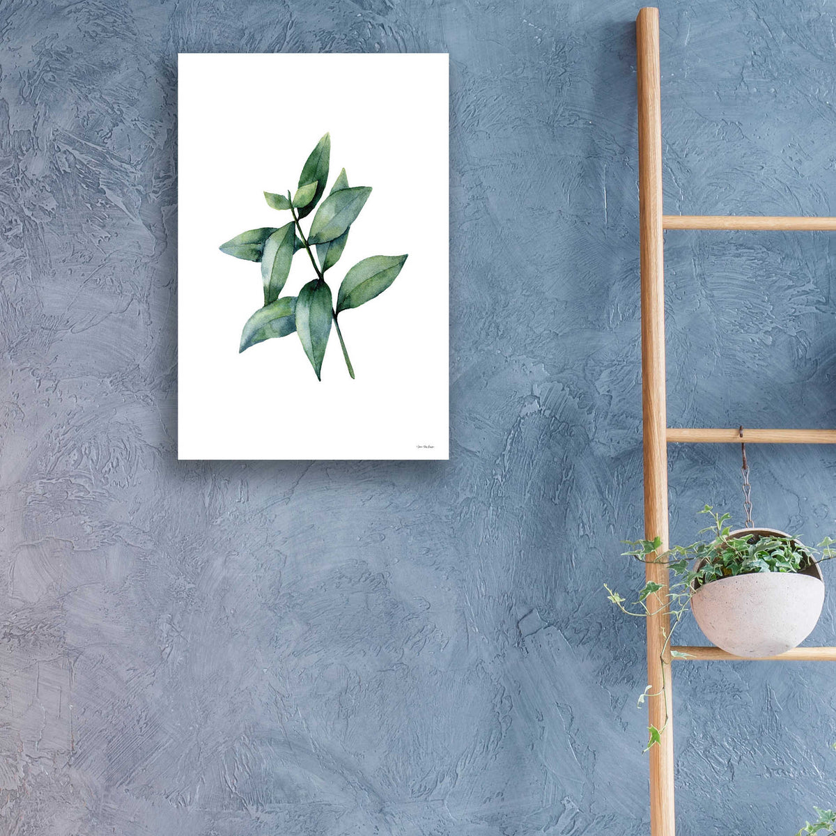 Epic Art 'Eucalyptus IV' by Seven Trees Design, Acrylic Glass Wall Art,16x24