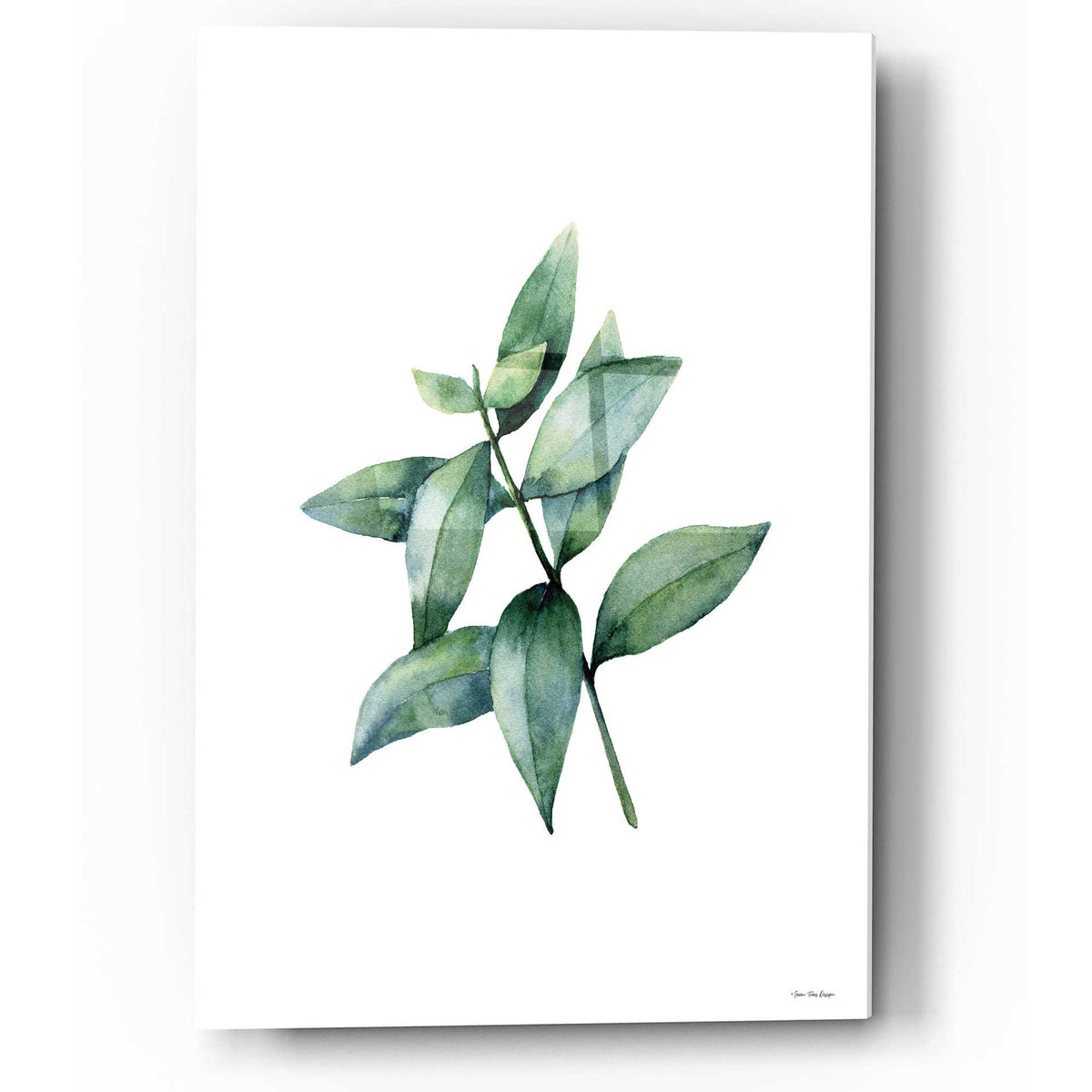 Epic Art 'Eucalyptus IV' by Seven Trees Design, Acrylic Glass Wall Art