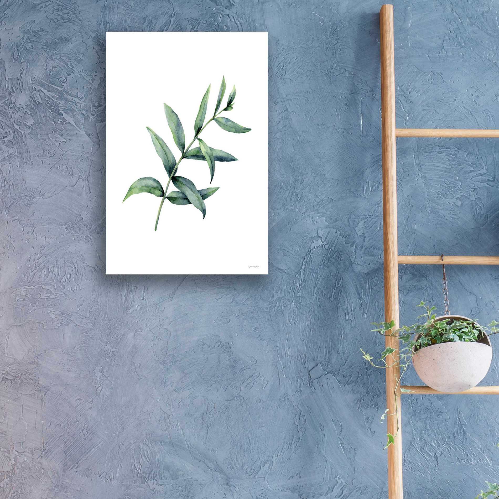 Epic Art 'Eucalyptus V' by Seven Trees Design, Acrylic Glass Wall Art,16x24