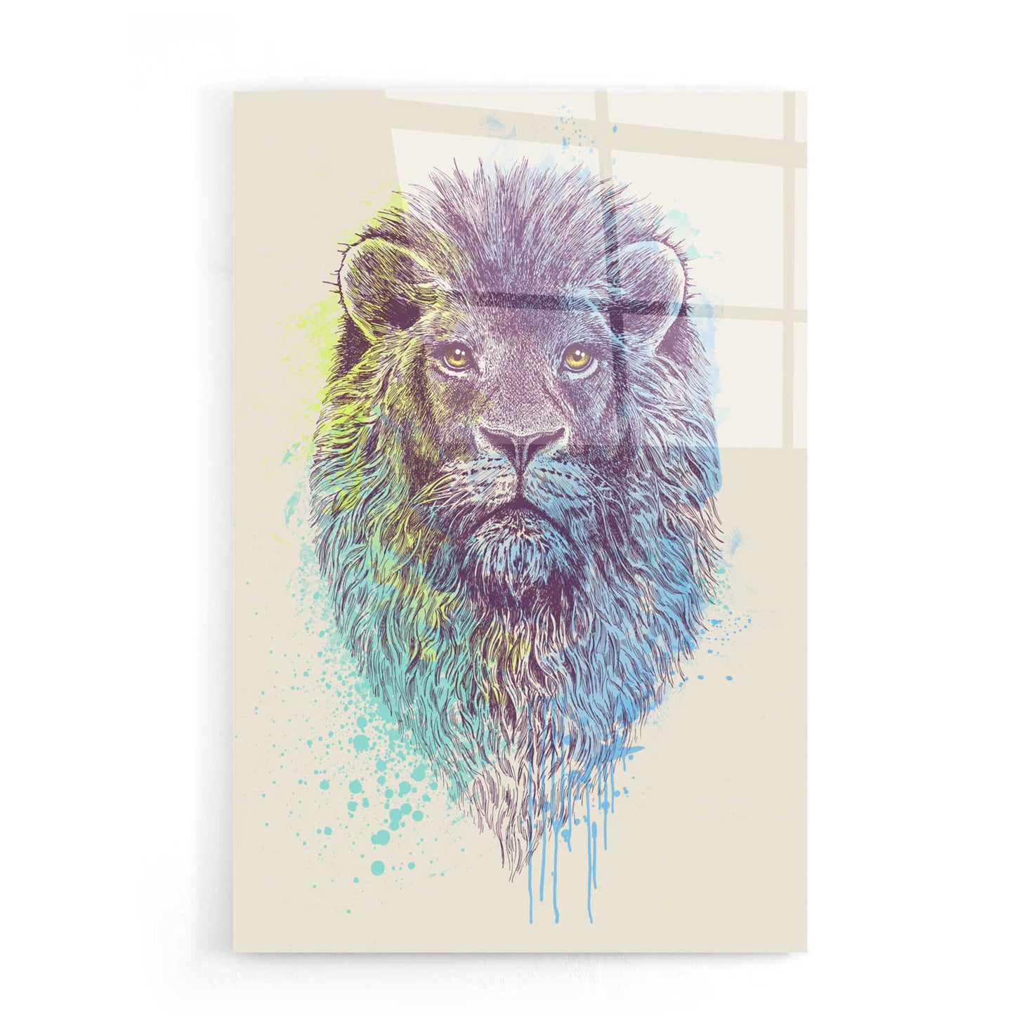 Epic Art 'Lion King' by Rachel Caldwell, Acrylic Glass Wall Art,16x24
