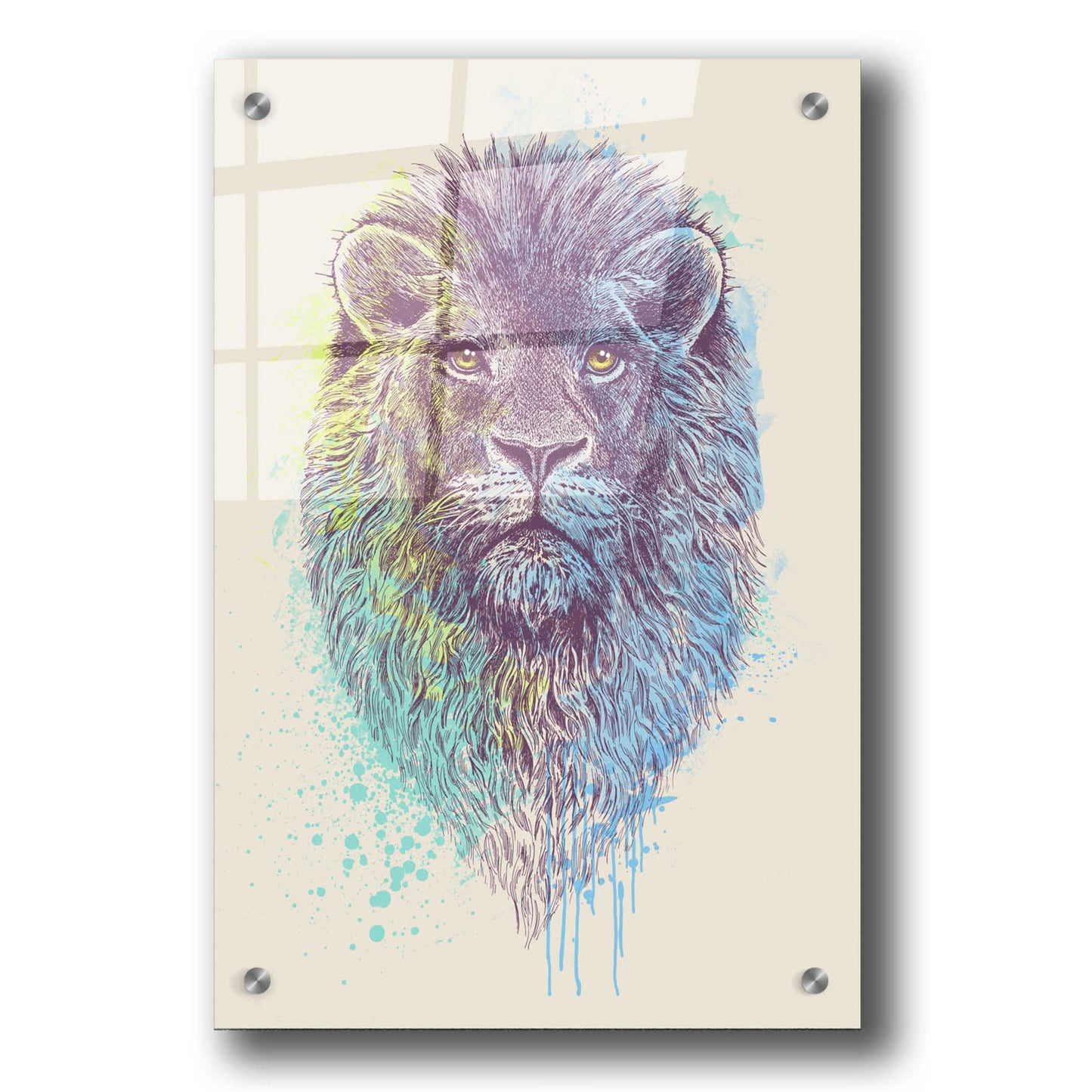 Epic Art 'Lion King' by Rachel Caldwell, Acrylic Glass Wall Art,24x36