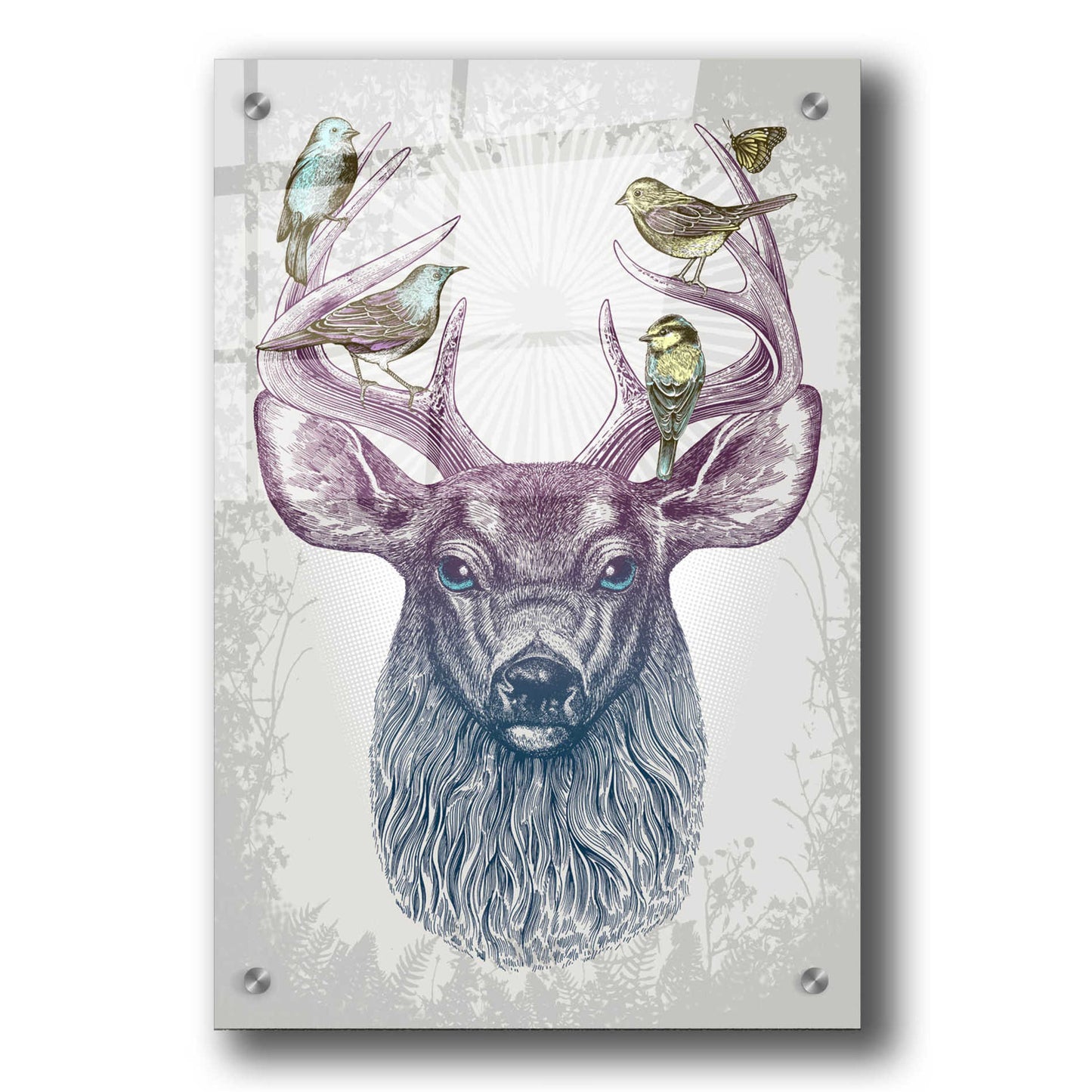 Epic Art 'Magic Buck' by Rachel Caldwell, Acrylic Glass Wall Art,24x36