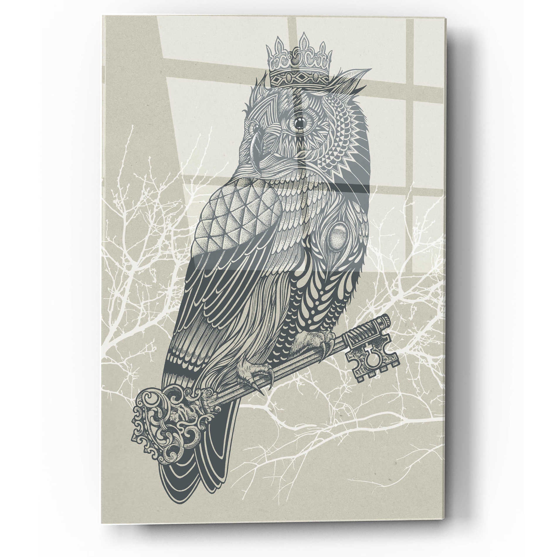 Epic Art 'Owl King' by Rachel Caldwell, Acrylic Glass Wall Art,12x16