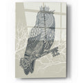 Epic Art 'Owl King' by Rachel Caldwell, Acrylic Glass Wall Art