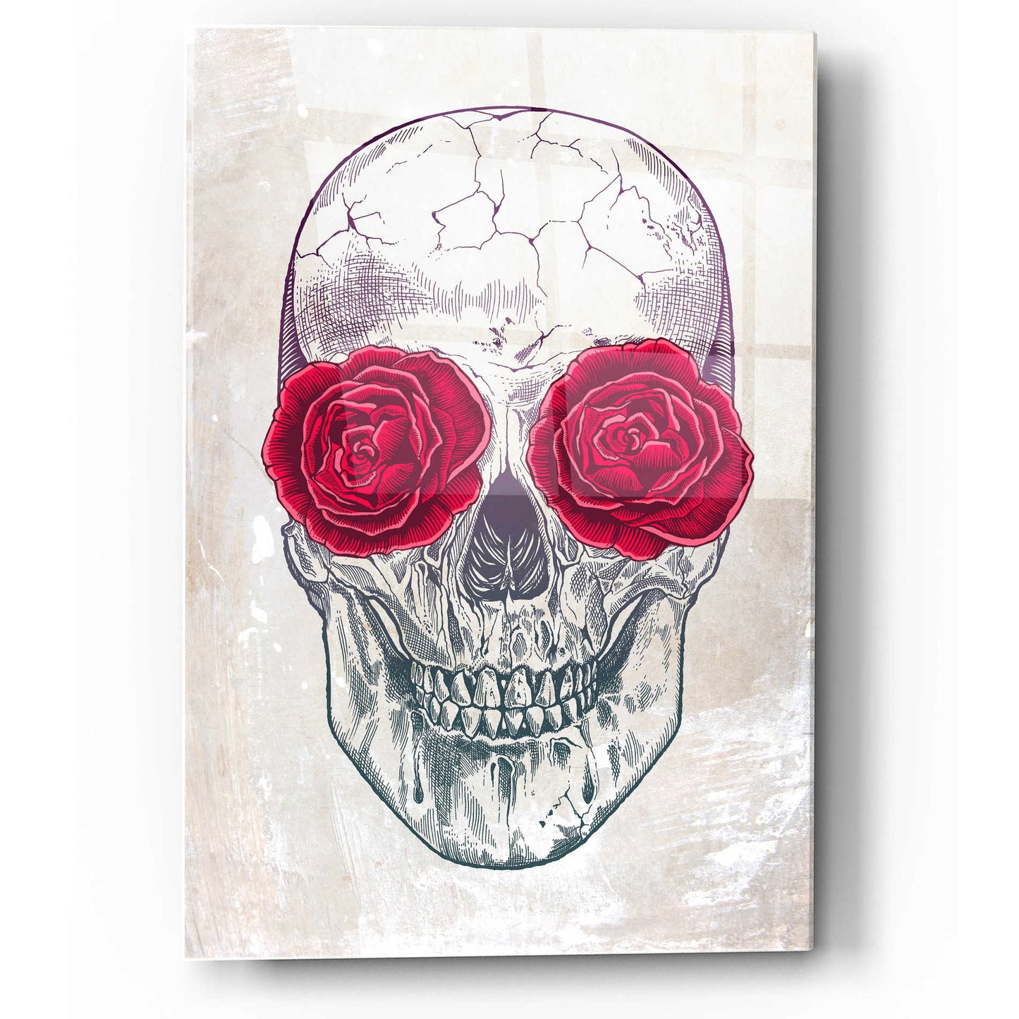 Epic Art 'Skull & Roses' by Rachel Caldwell, Acrylic Glass Wall Art,12x16
