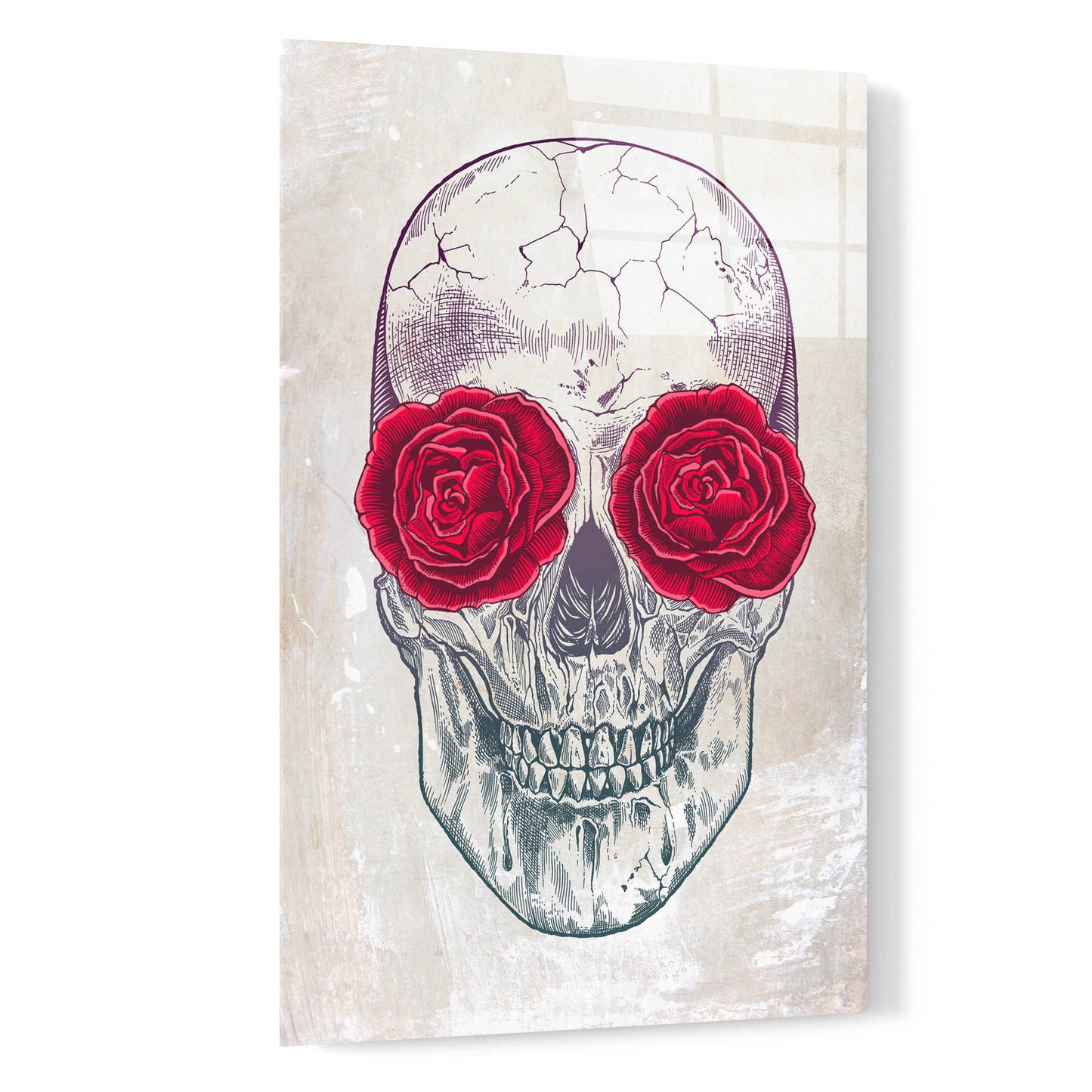 Epic Art 'Skull & Roses' by Rachel Caldwell, Acrylic Glass Wall Art,16x24