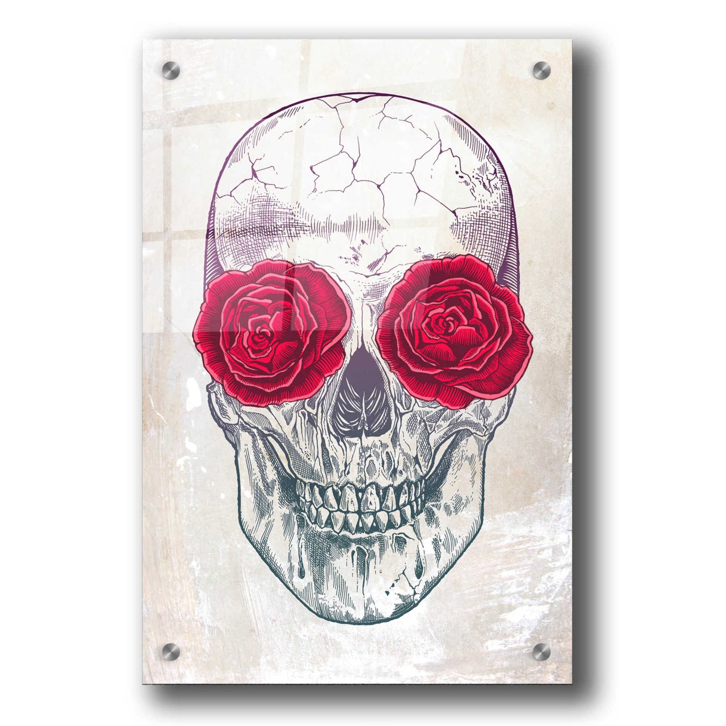 Epic Art 'Skull & Roses' by Rachel Caldwell, Acrylic Glass Wall Art,24x36