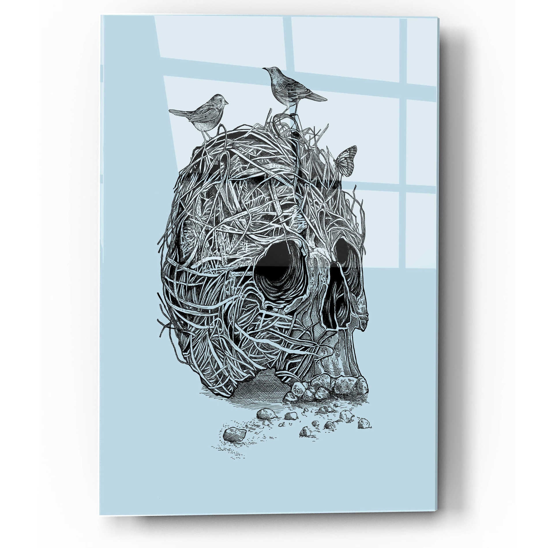 Epic Art 'Skull Nest' by Rachel Caldwell, Acrylic Glass Wall Art,12x16