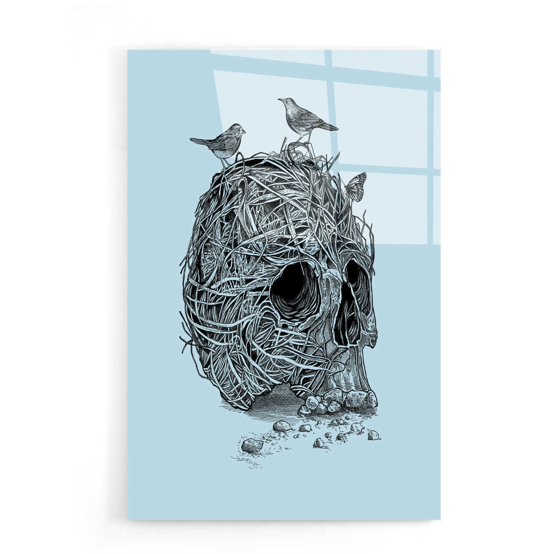 Epic Art 'Skull Nest' by Rachel Caldwell, Acrylic Glass Wall Art,16x24