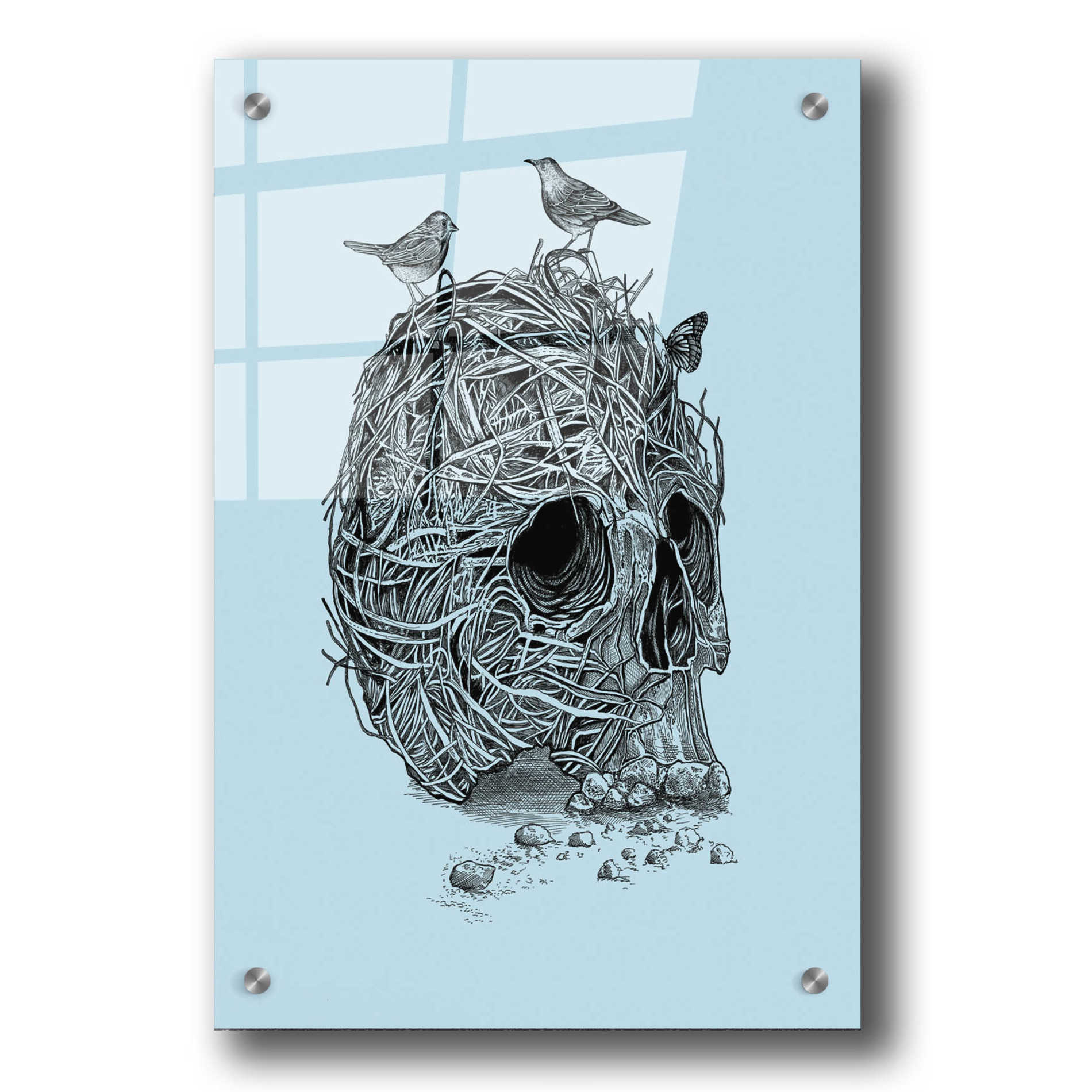 Epic Art 'Skull Nest' by Rachel Caldwell, Acrylic Glass Wall Art,24x36