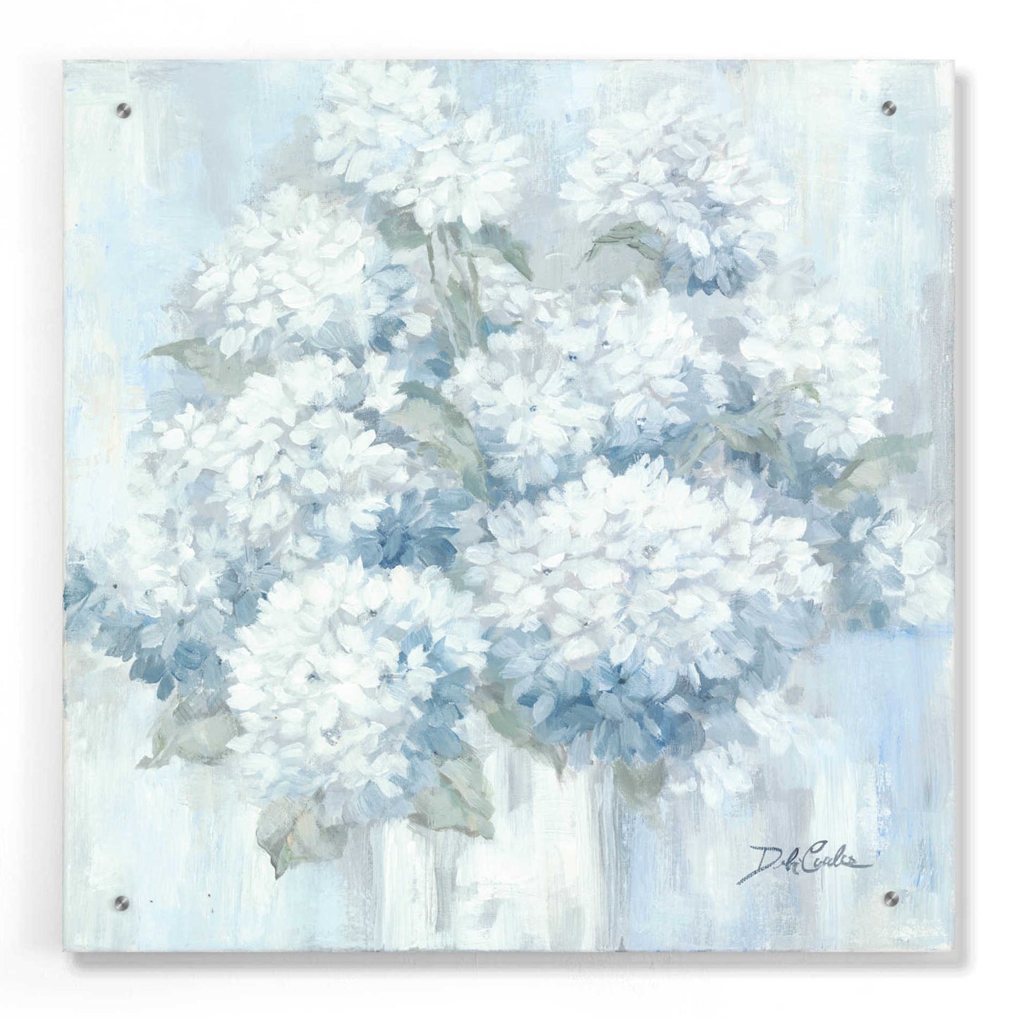 Epic Art 'White Hydrangeas' by Debi Coiules, Acrylic Glass Wall Art,24x24