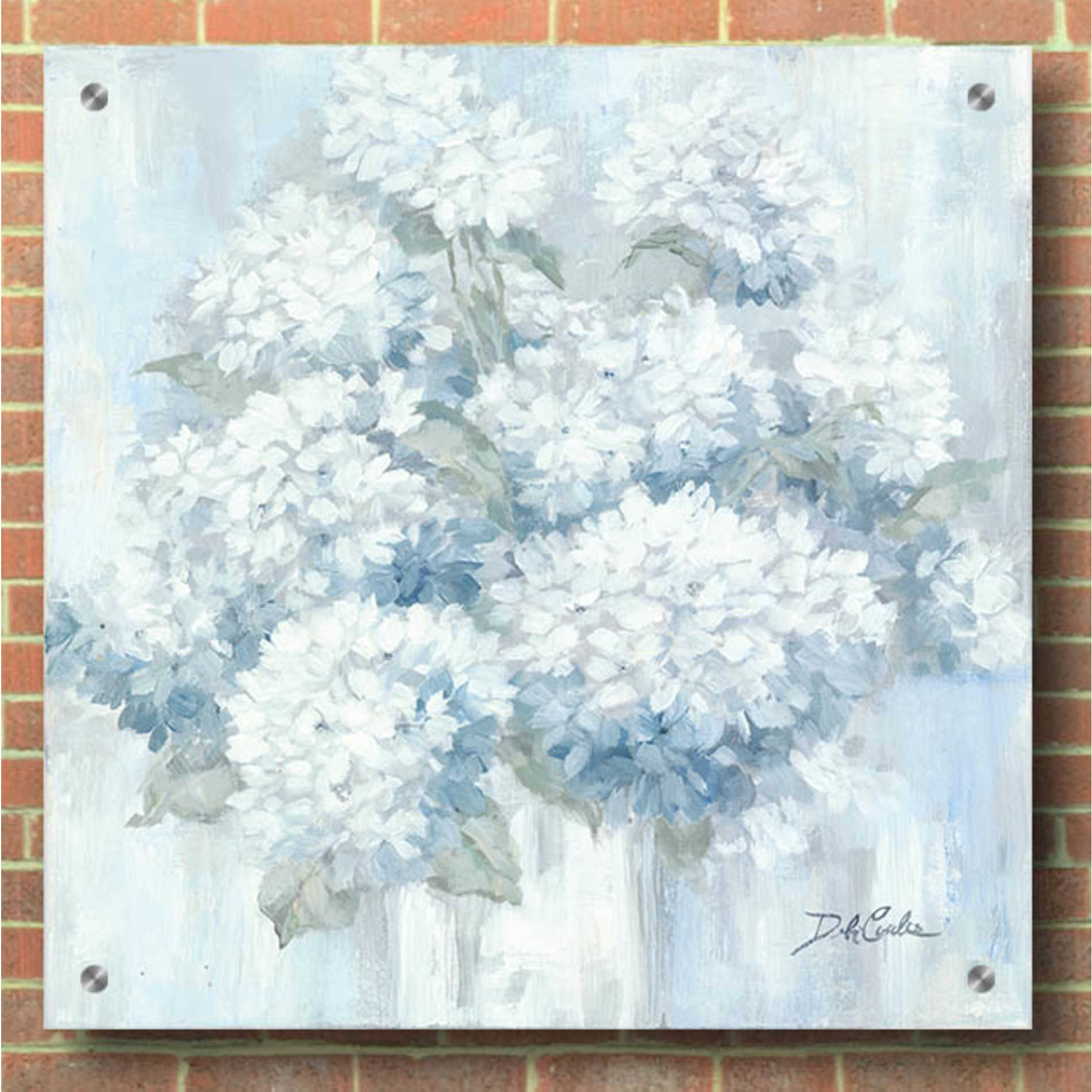 Epic Art 'White Hydrangeas' by Debi Coiules, Acrylic Glass Wall Art,36x36