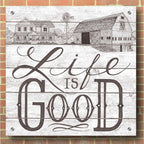 Epic Art 'Life is Good' by Deb Strain, Acrylic Glass Wall Art,36x36