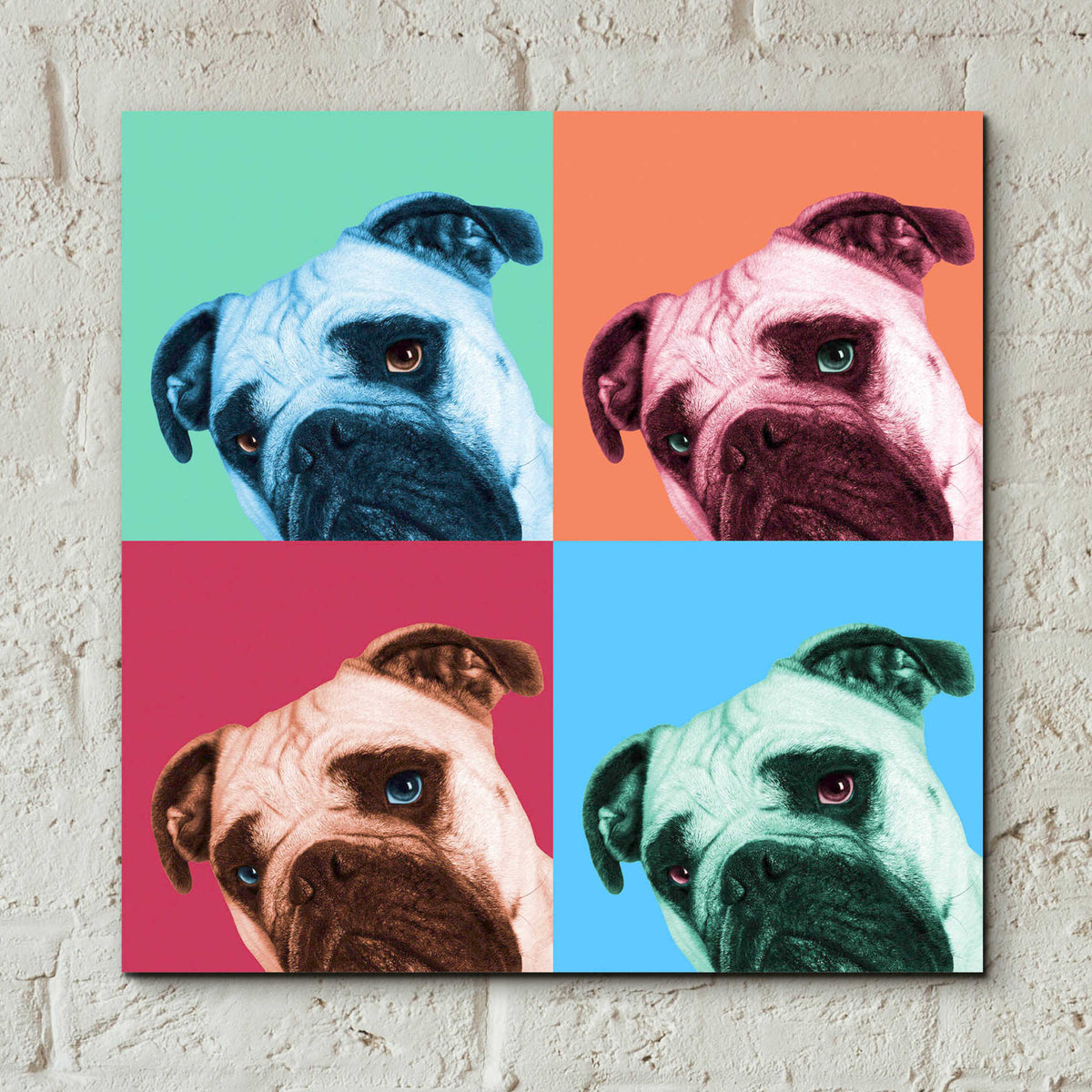 Epic Art 'Que Pasa Pop' by Jon Bertelli, Acrylic Glass Wall Art,12x12