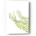 Epic Art 'Green Bliss' by Jessica Mingo, Acrylic Glass Wall Art