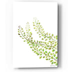 Epic Art 'Green Bliss' by Jessica Mingo, Acrylic Glass Wall Art