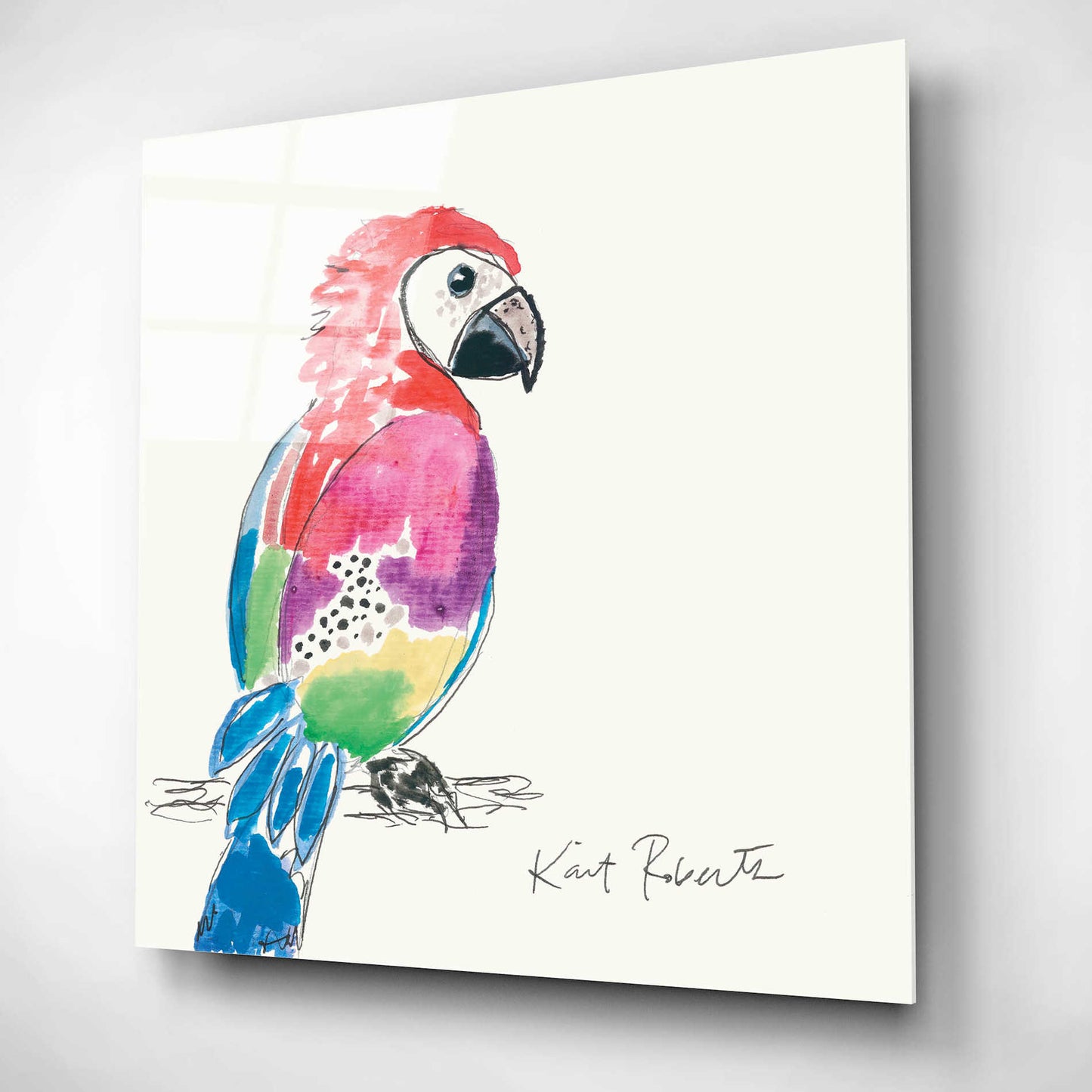 Epic Art 'Preston the Parrot' by Kait Roberts, Acrylic Glass Wall Art,12x12