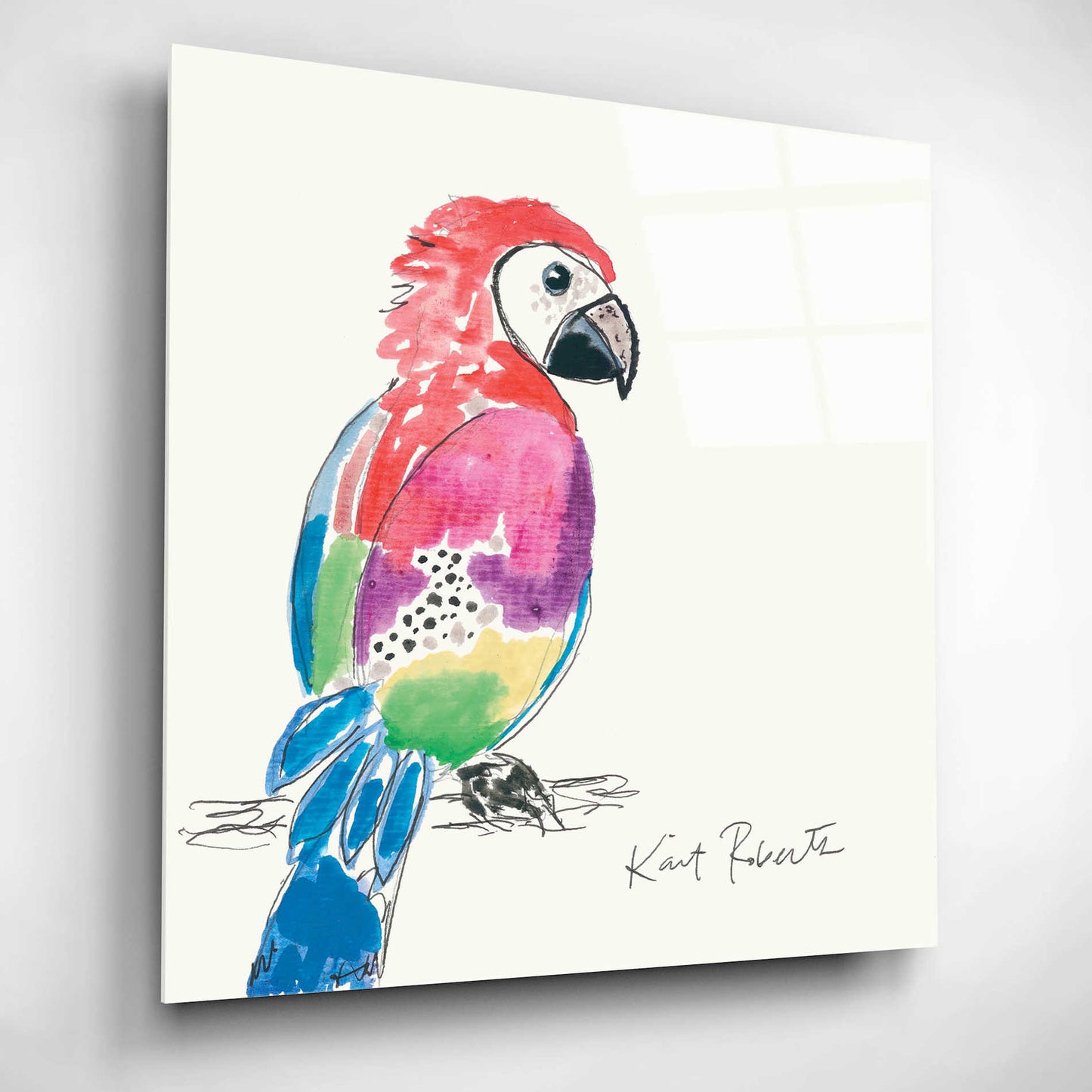 Epic Art 'Preston the Parrot' by Kait Roberts, Acrylic Glass Wall Art,12x12