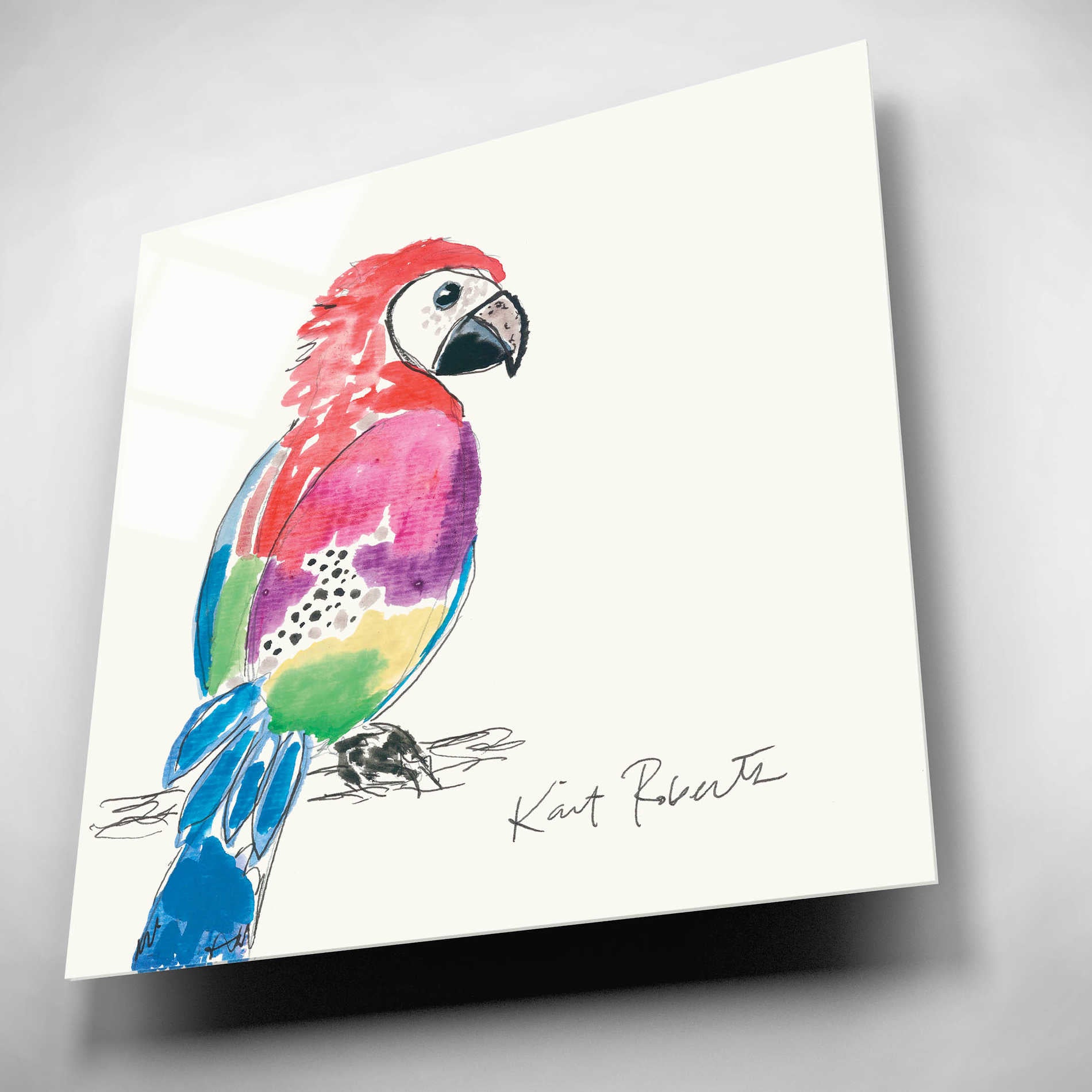 Epic Art 'Preston the Parrot' by Kait Roberts, Acrylic Glass Wall Art,12x12