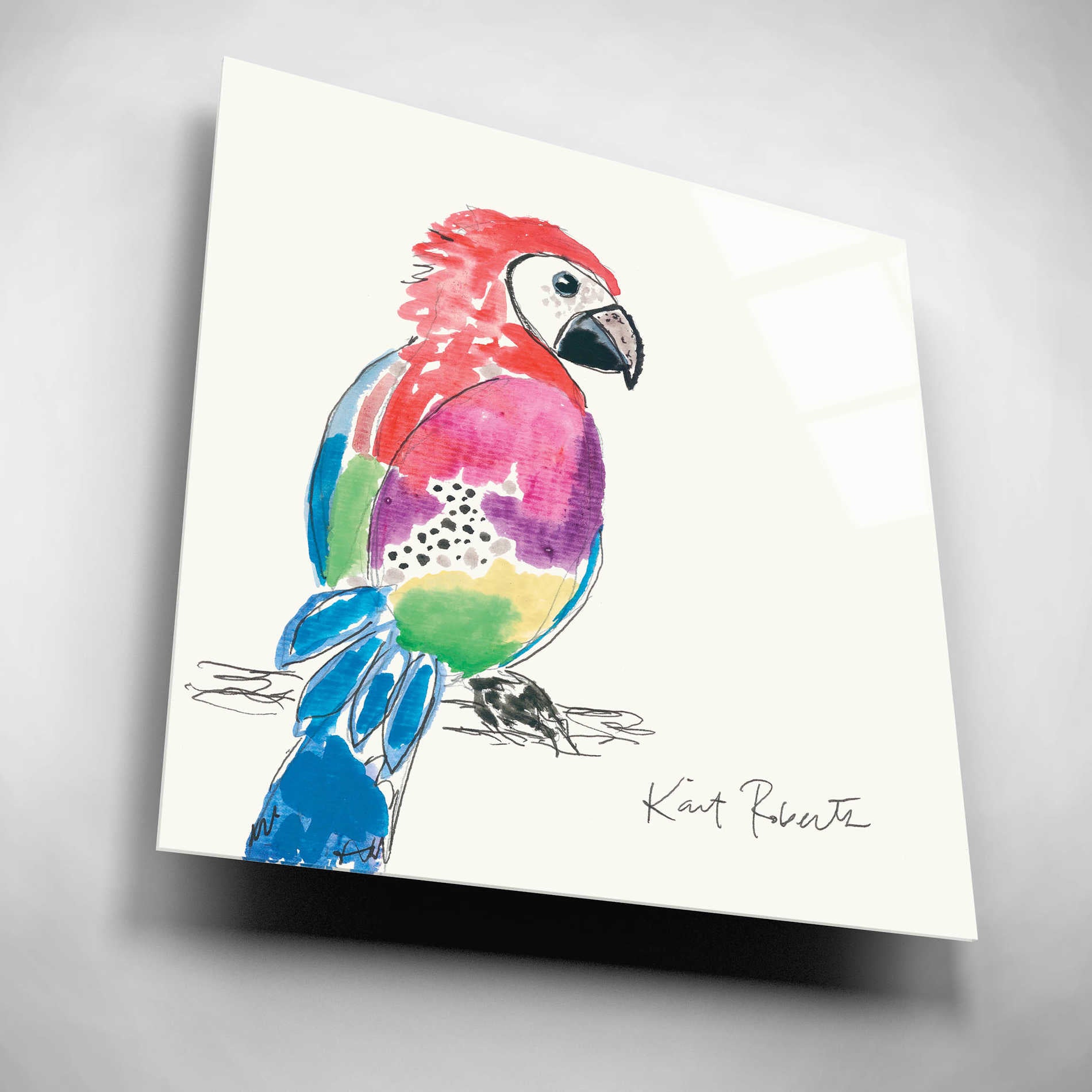 Epic Art 'Preston the Parrot' by Kait Roberts, Acrylic Glass Wall Art,12x12