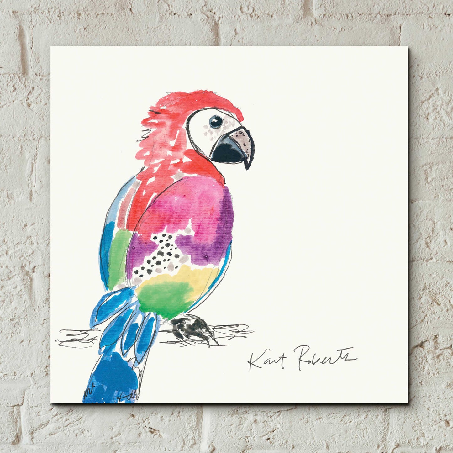 Epic Art 'Preston the Parrot' by Kait Roberts, Acrylic Glass Wall Art,12x12