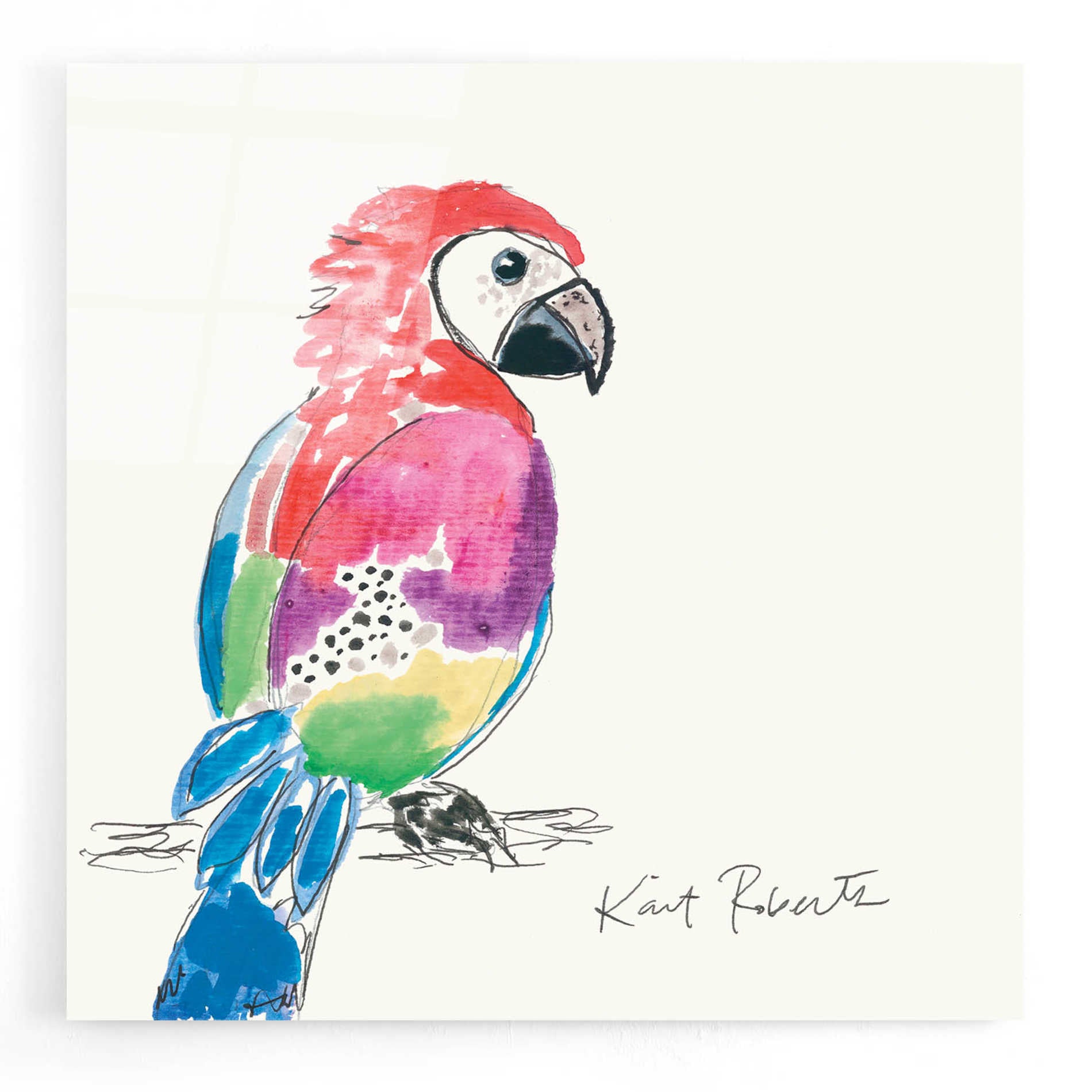 Epic Art 'Preston the Parrot' by Kait Roberts, Acrylic Glass Wall Art,12x12