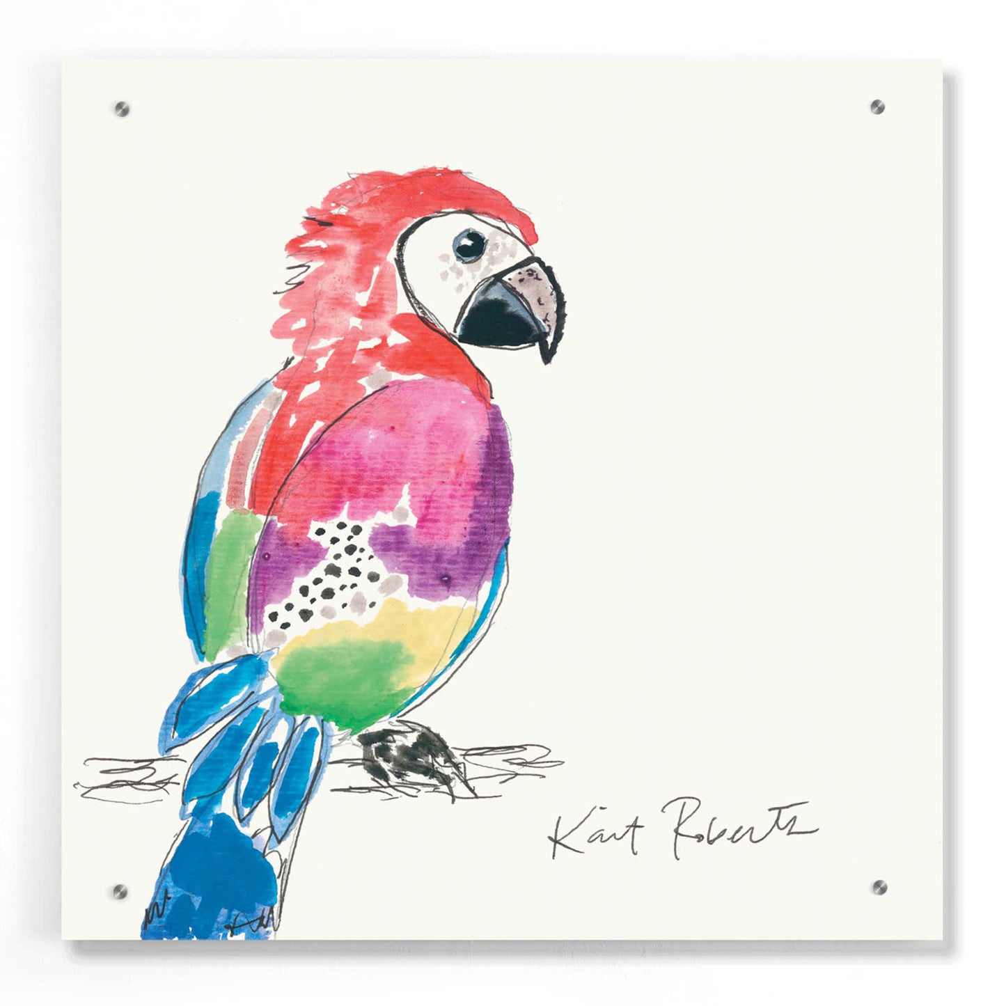 Epic Art 'Preston the Parrot' by Kait Roberts, Acrylic Glass Wall Art,24x24