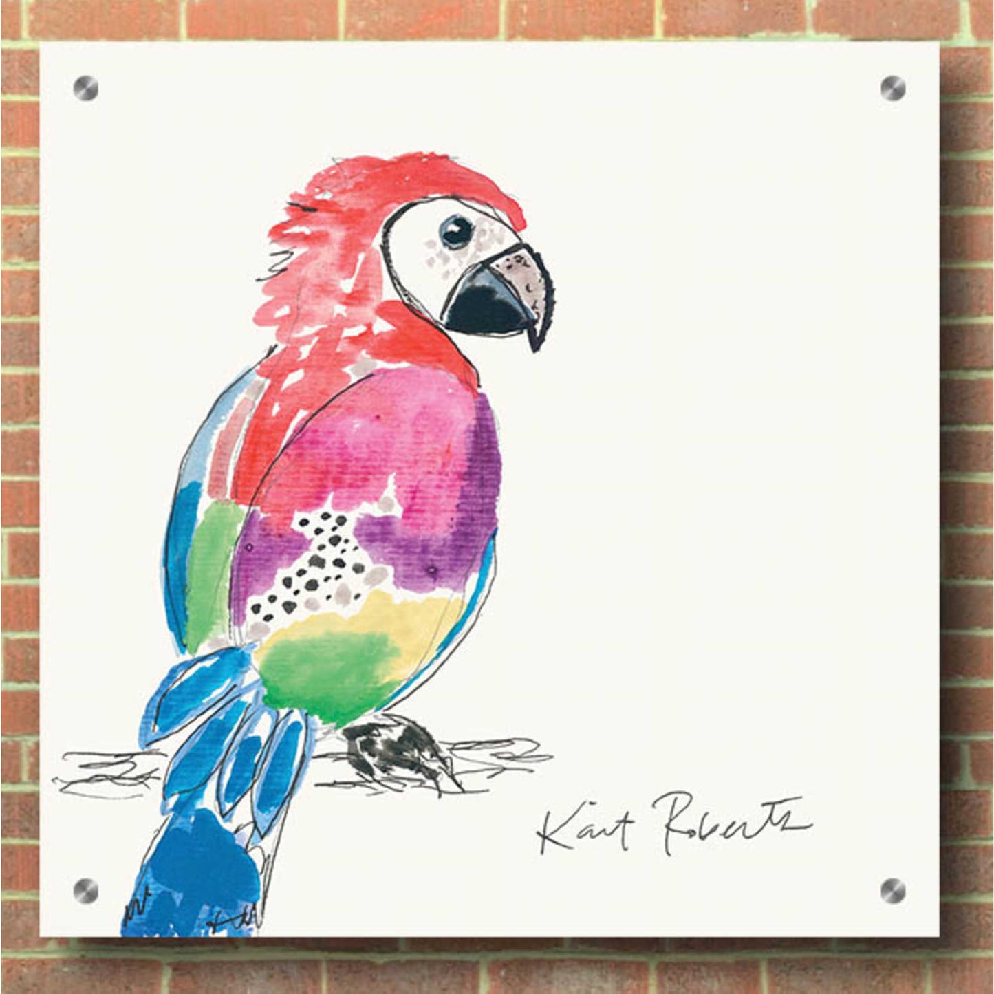 Epic Art 'Preston the Parrot' by Kait Roberts, Acrylic Glass Wall Art,36x36