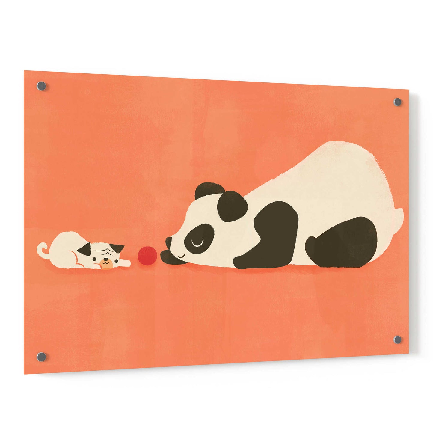 Epic Art 'The Pug and the Panda' by Jay Fleck, Acrylic Glass Wall Art,36x24