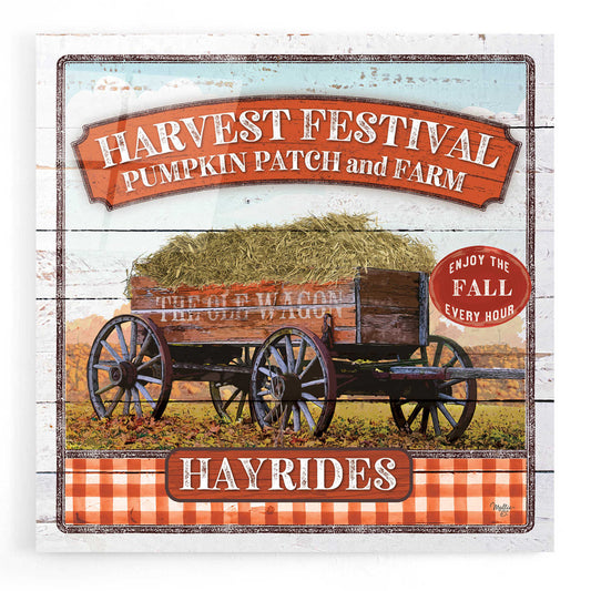 Epic Art 'Harvest Festival' by Mollie B, Acrylic Glass Wall Art