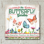 Epic Art 'Butterly Farm' by Mollie B, Acrylic Glass Wall Art,12x12