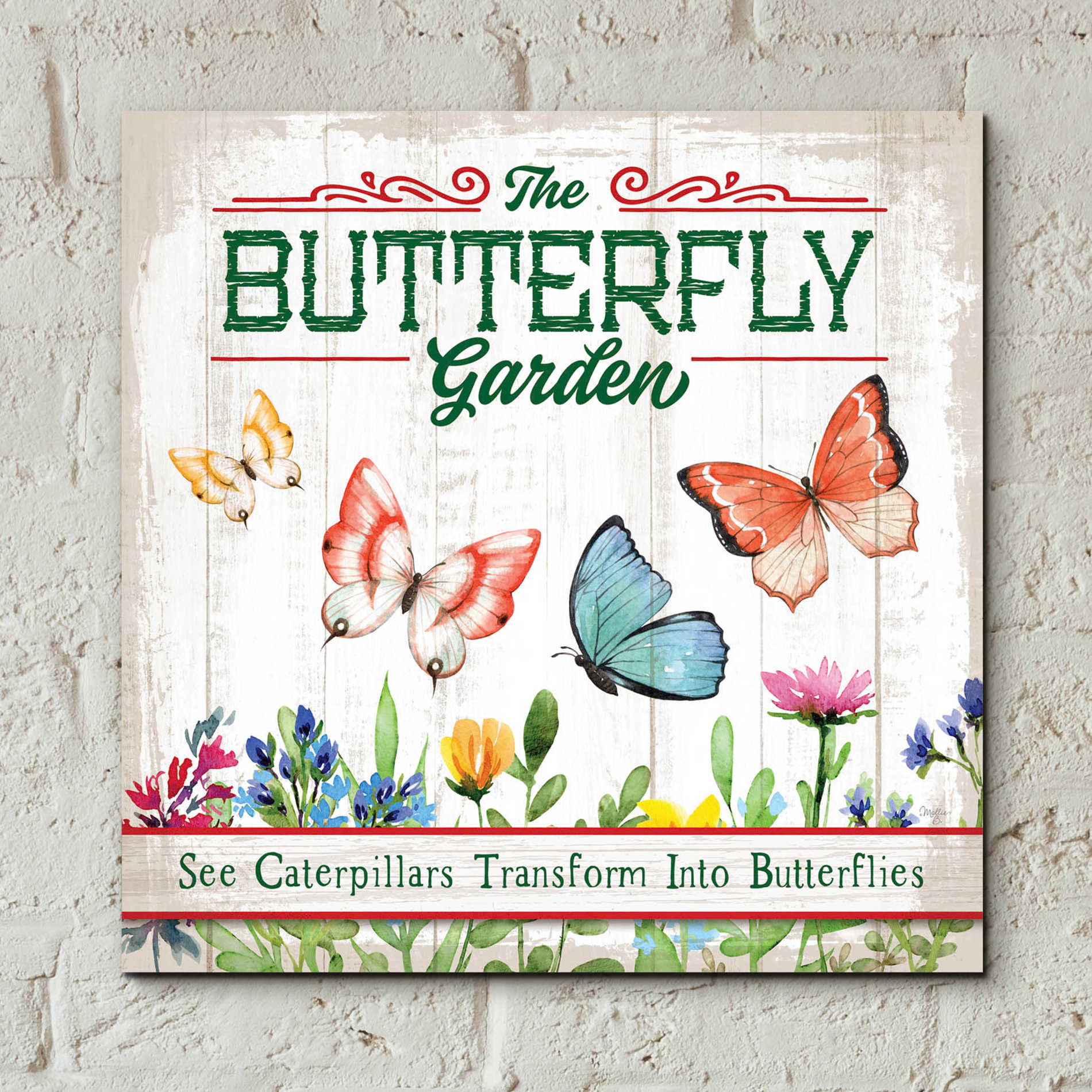 Epic Art 'Butterly Farm' by Mollie B, Acrylic Glass Wall Art,12x12