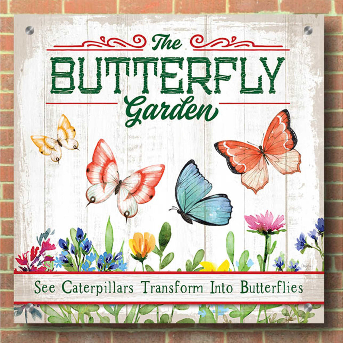 Epic Art 'Butterly Farm' by Mollie B, Acrylic Glass Wall Art,36x36