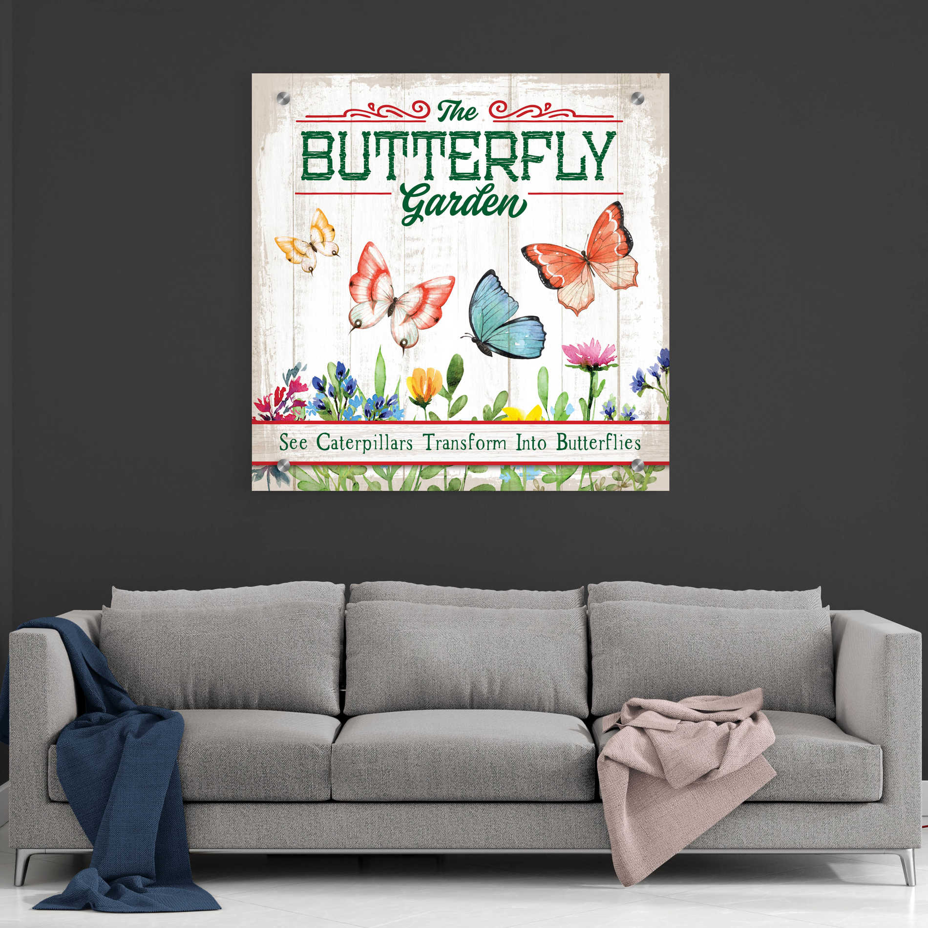 Epic Art 'Butterly Farm' by Mollie B, Acrylic Glass Wall Art,36x36