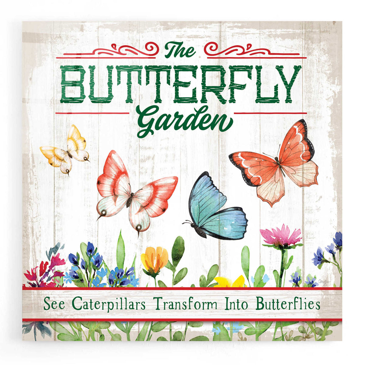 Epic Art 'Butterly Farm' by Mollie B, Acrylic Glass Wall Art