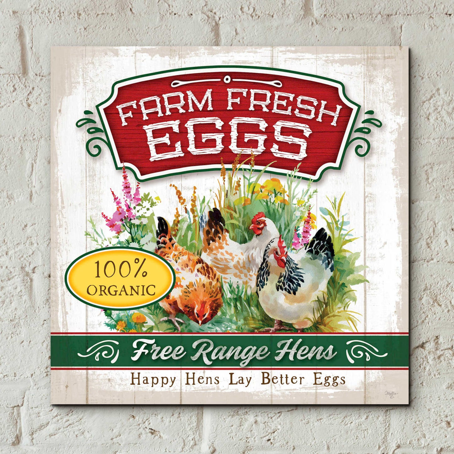 Epic Art 'Fresh Eggs' by Mollie B, Acrylic Glass Wall Art,12x12