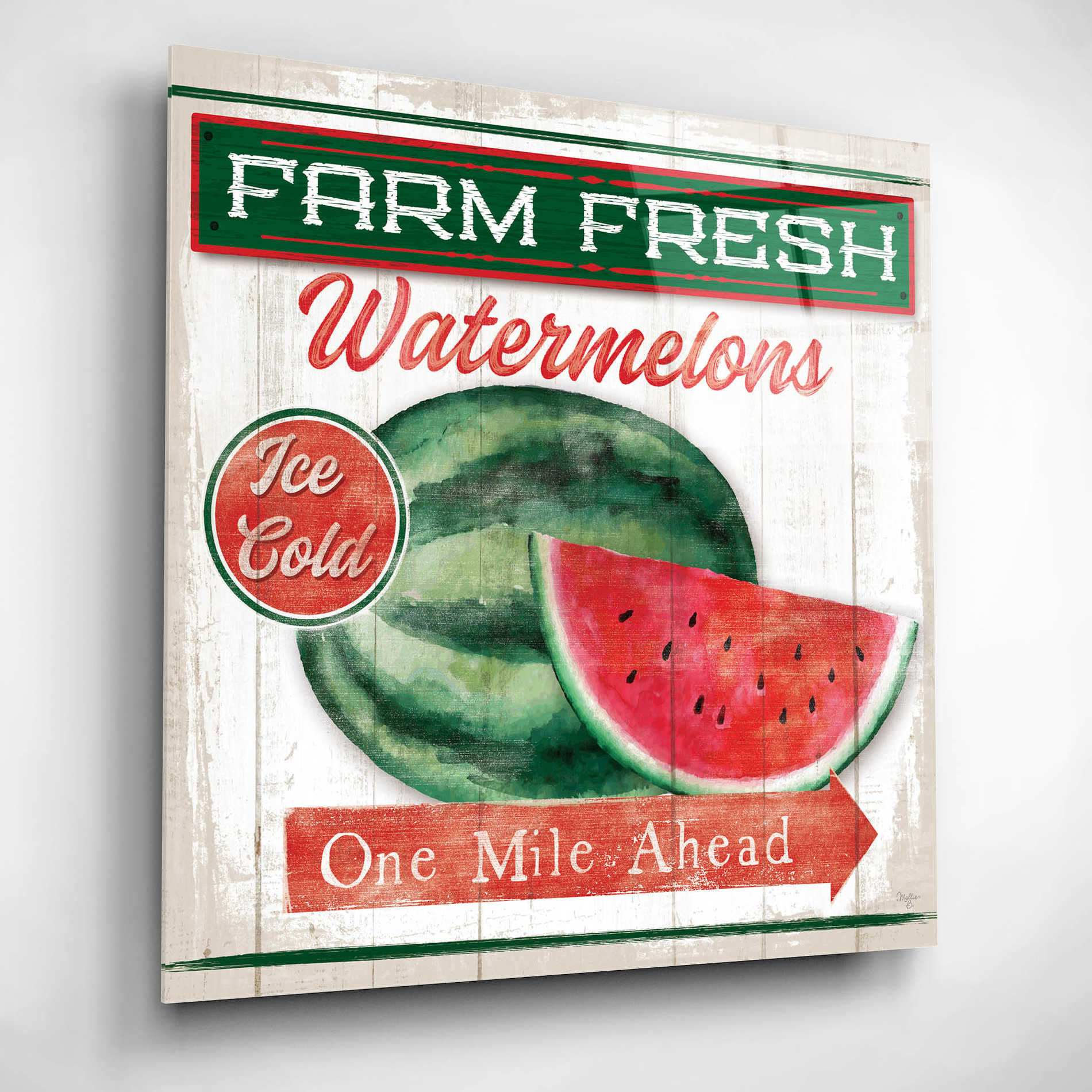 Epic Art 'Watermelon Farm' by Mollie B, Acrylic Glass Wall Art,12x12