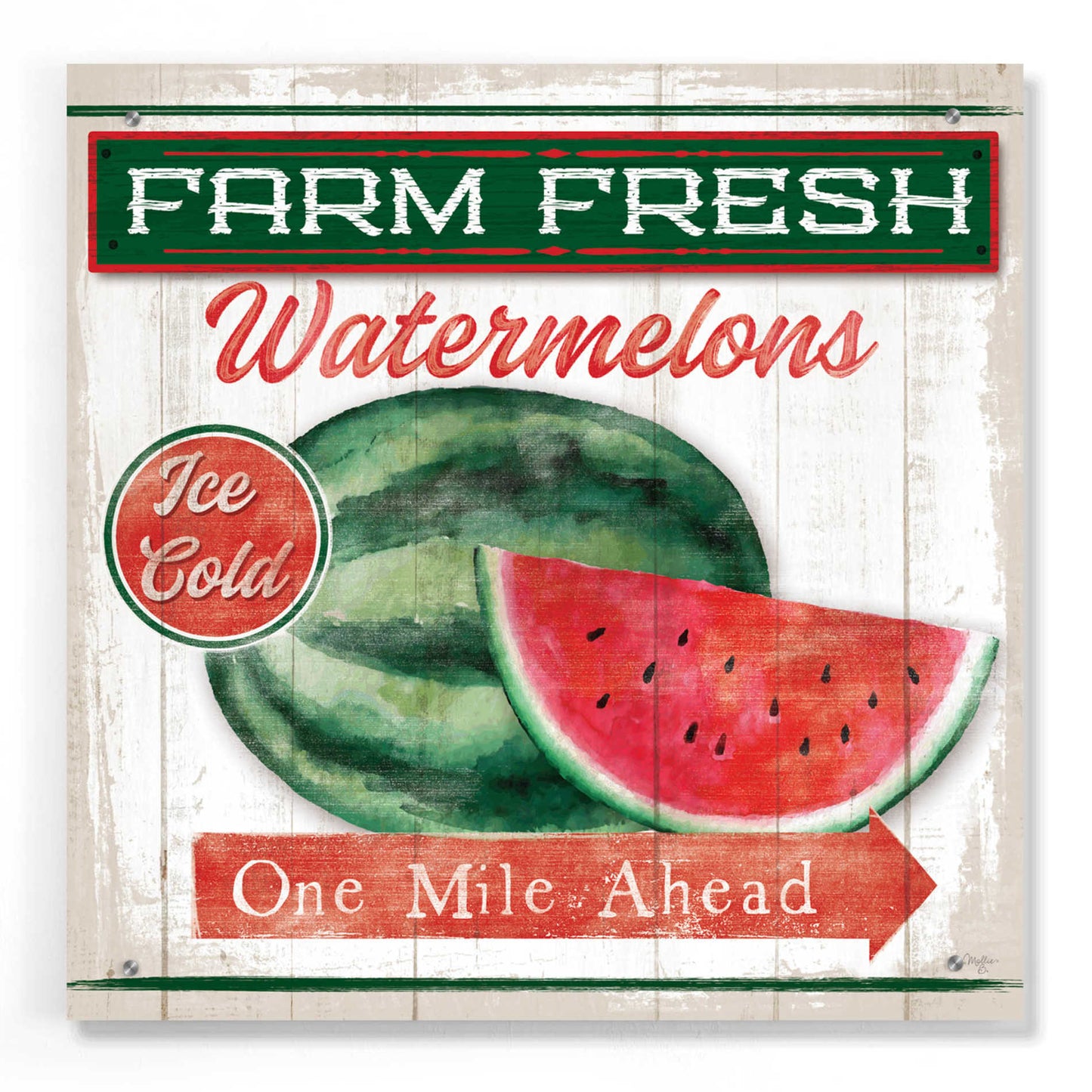 Epic Art 'Watermelon Farm' by Mollie B, Acrylic Glass Wall Art,24x24