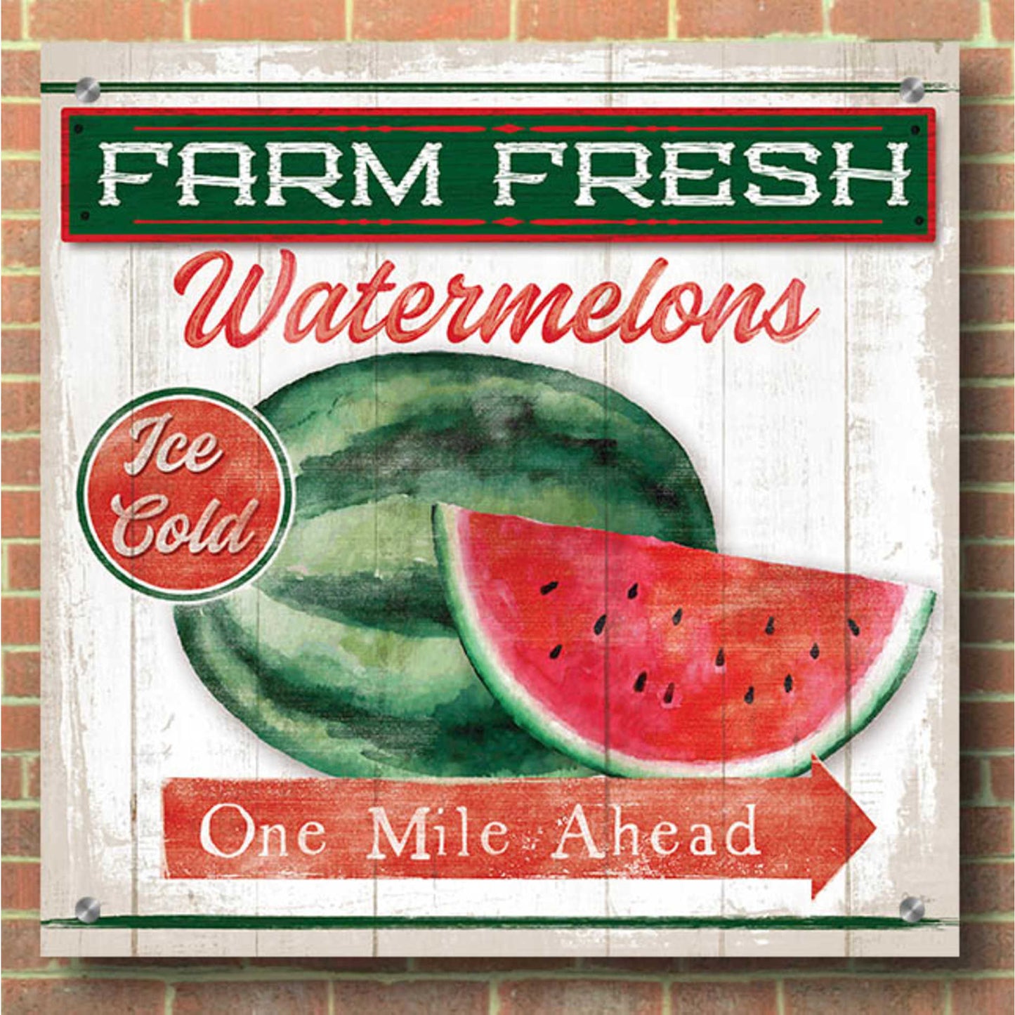 Epic Art 'Watermelon Farm' by Mollie B, Acrylic Glass Wall Art,36x36