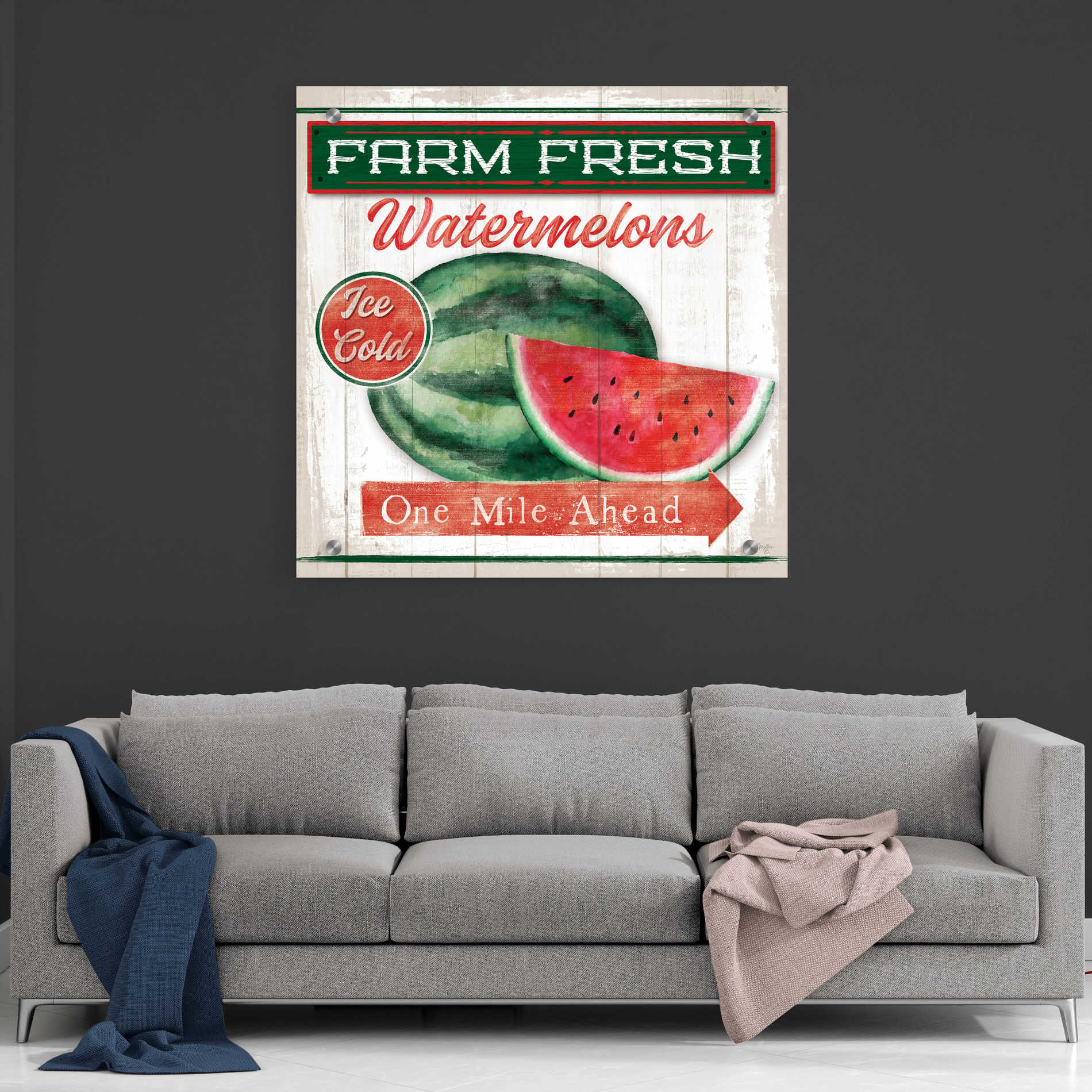 Epic Art 'Watermelon Farm' by Mollie B, Acrylic Glass Wall Art,36x36