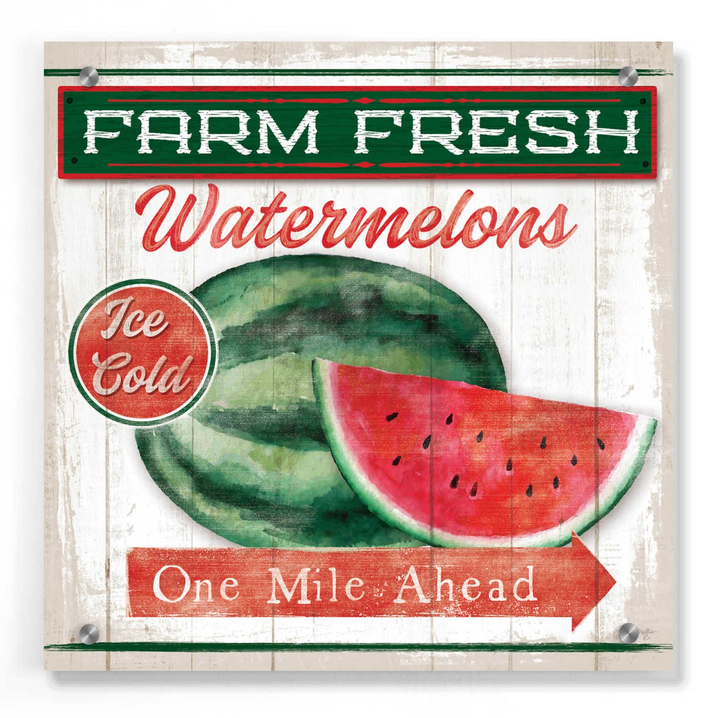 Epic Art 'Watermelon Farm' by Mollie B, Acrylic Glass Wall Art,36x36