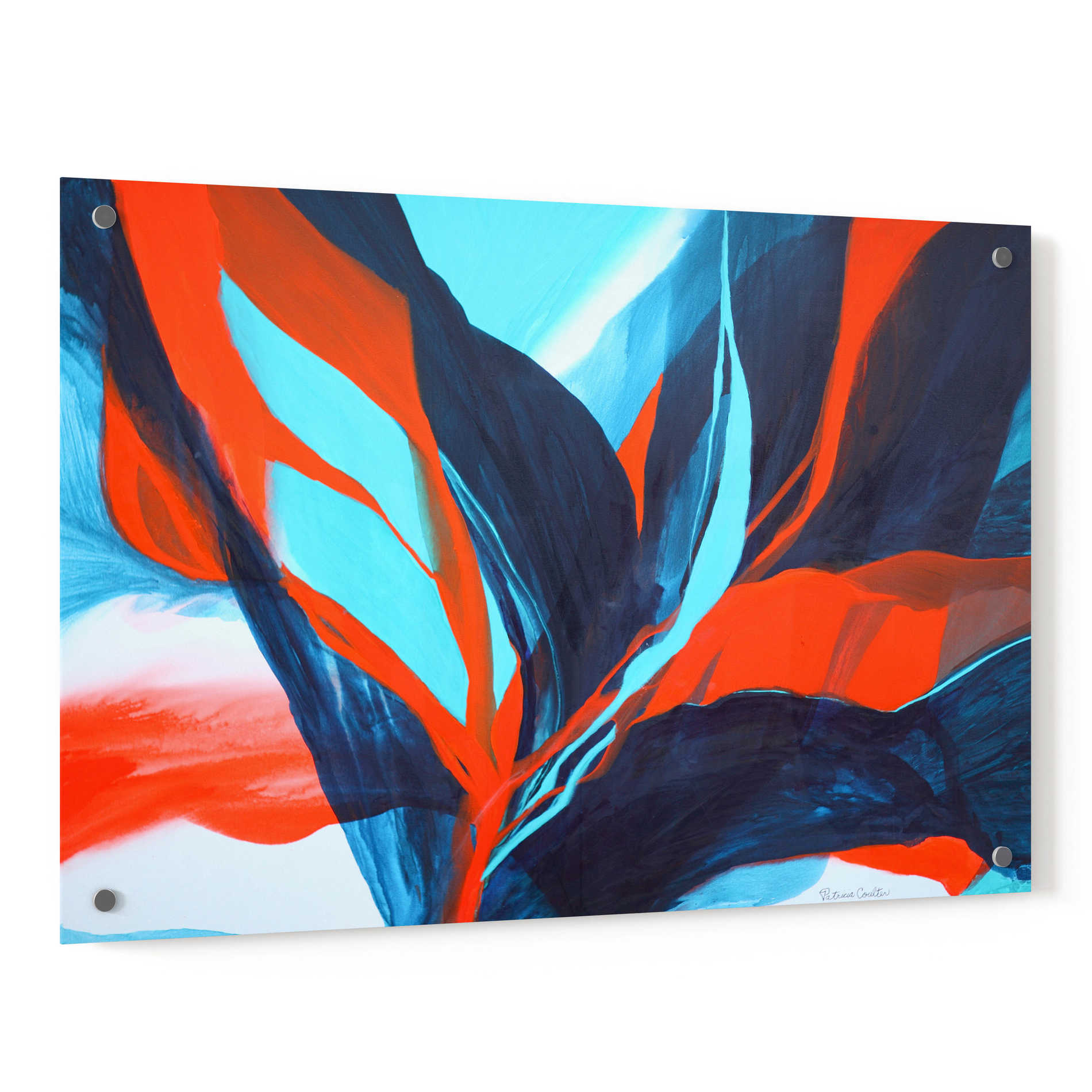 Epic Art 'Birds of Paradise' by Patricia Coulter, Acrylic Glass Wall Art,36x24
