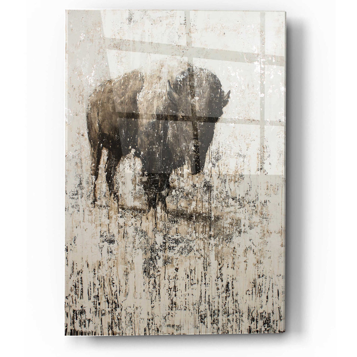 Epic Art 'Lone Buffalo' by Matt Flint, Acrylic Glass Wall Art,12x16