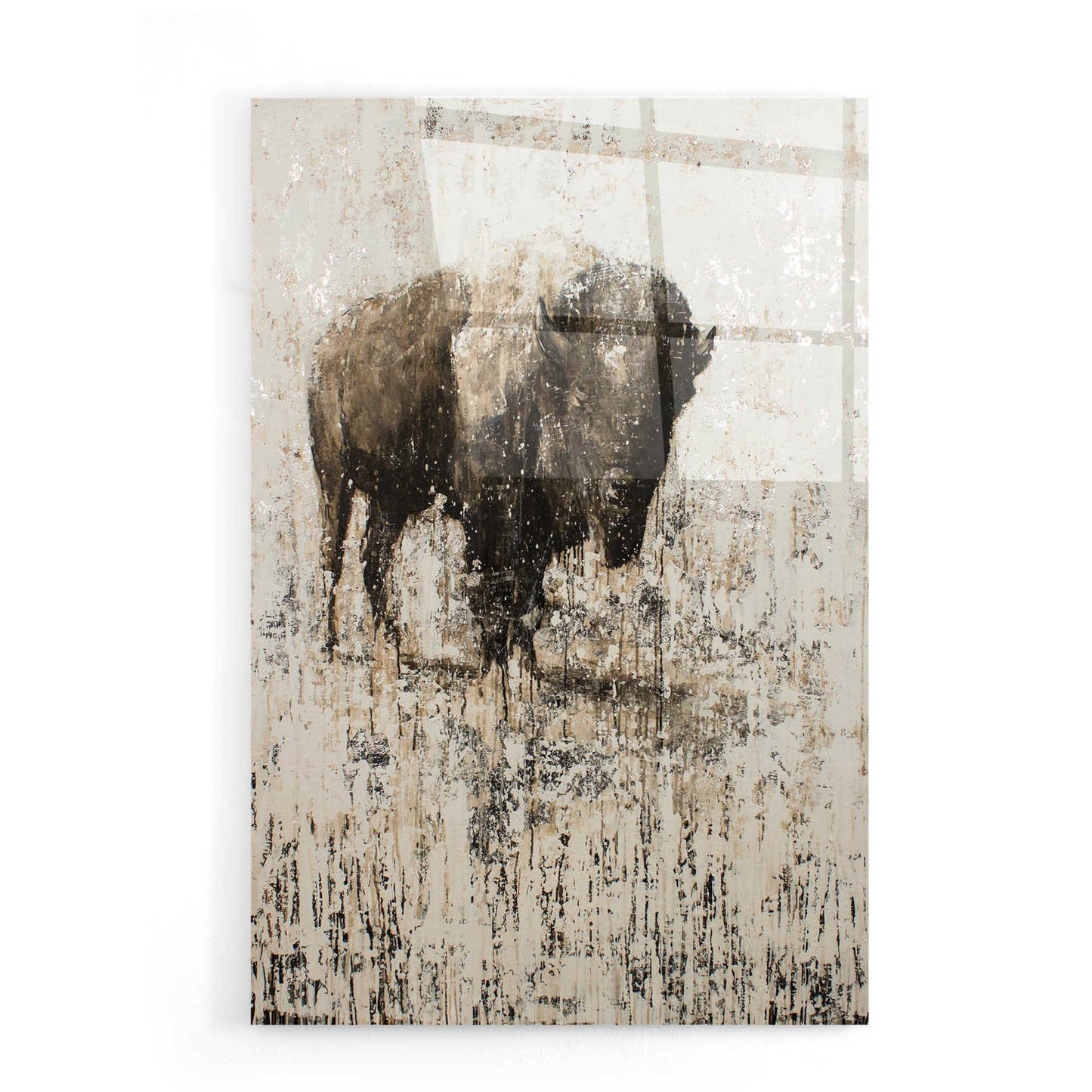 Epic Art 'Lone Buffalo' by Matt Flint, Acrylic Glass Wall Art,16x24